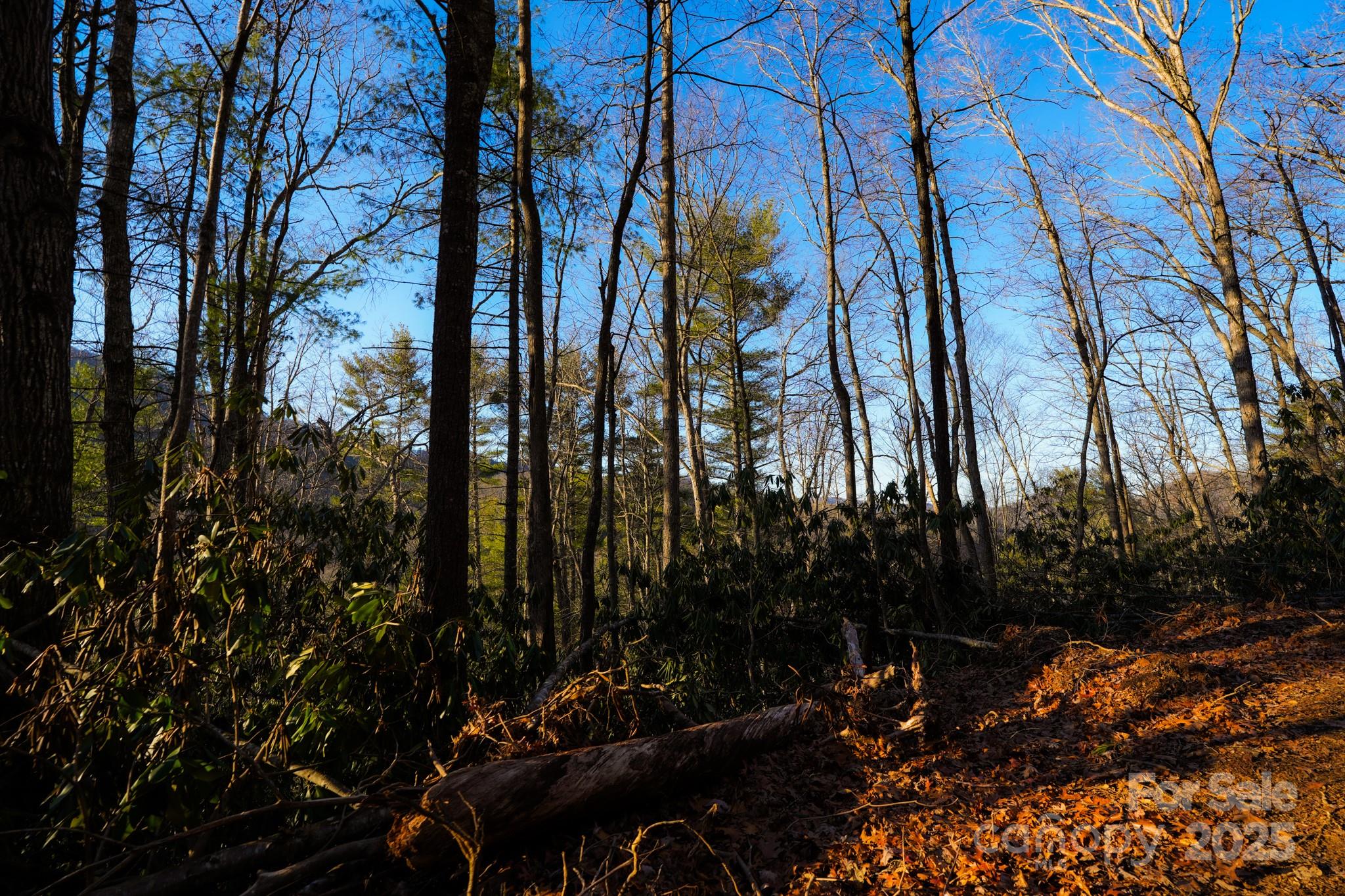 9999999 White Oak Road Property Photo 27