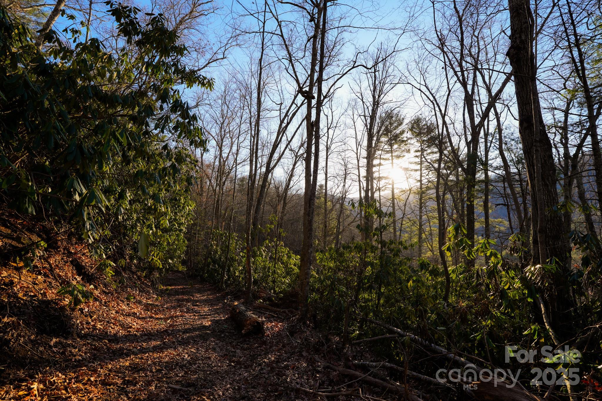 9999999 White Oak Road Property Photo 28