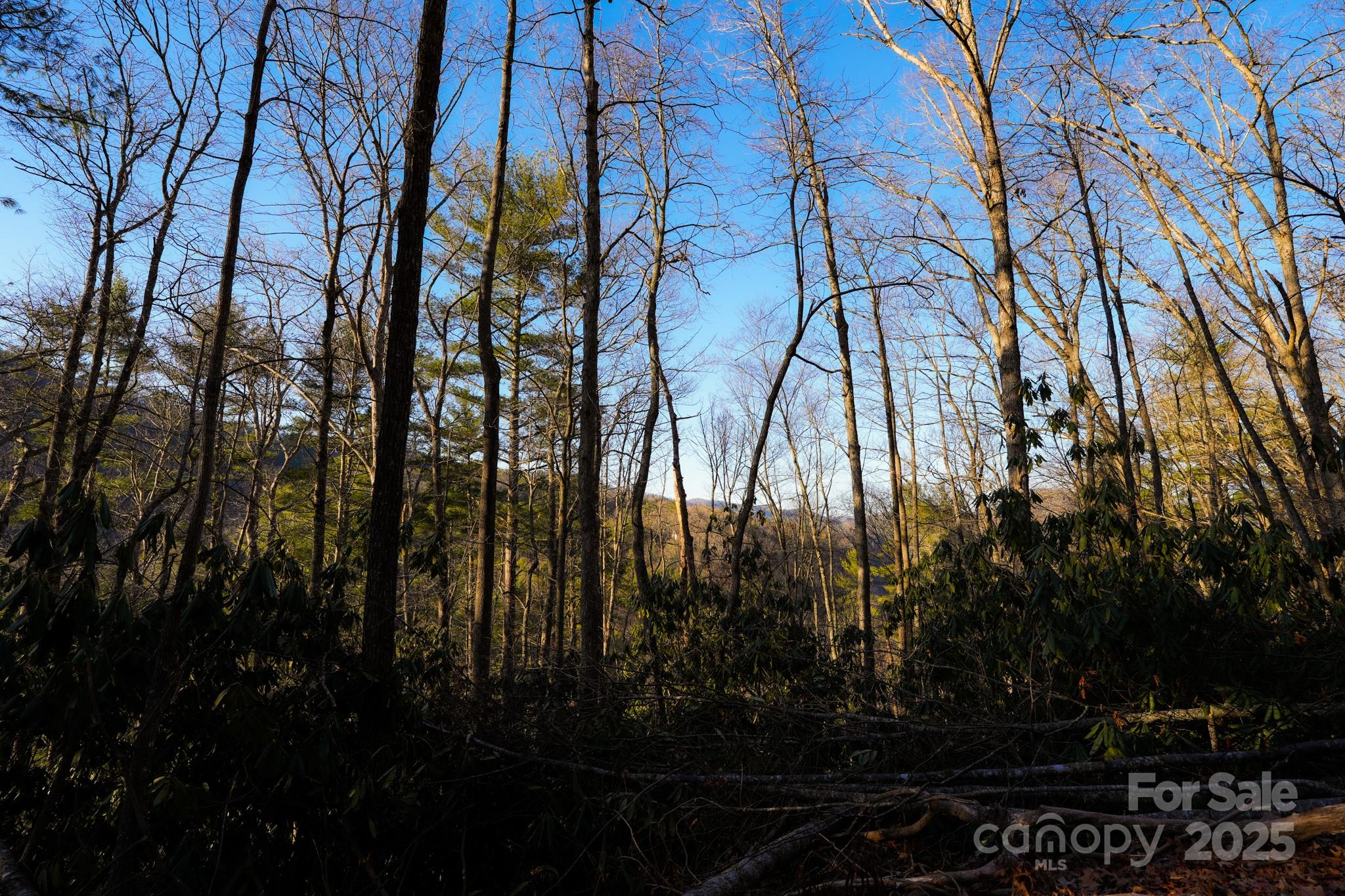 9999999 White Oak Road Property Photo 29