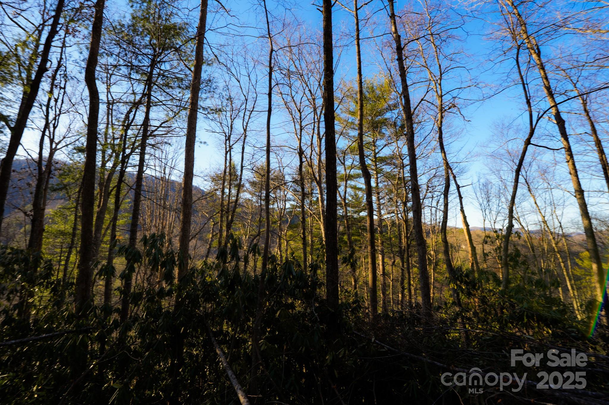 9999999 White Oak Road Property Photo 30