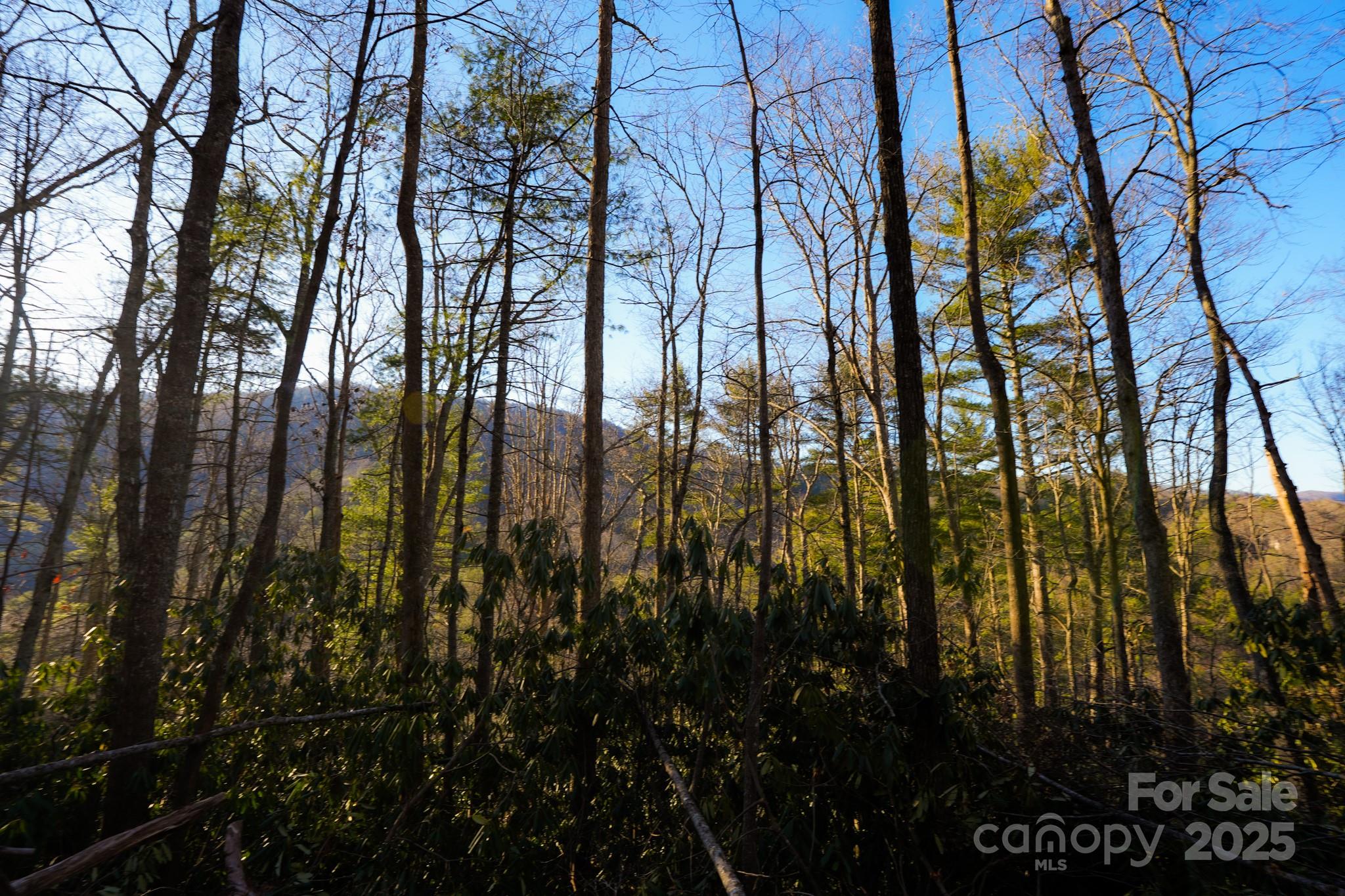 9999999 White Oak Road Property Photo 31