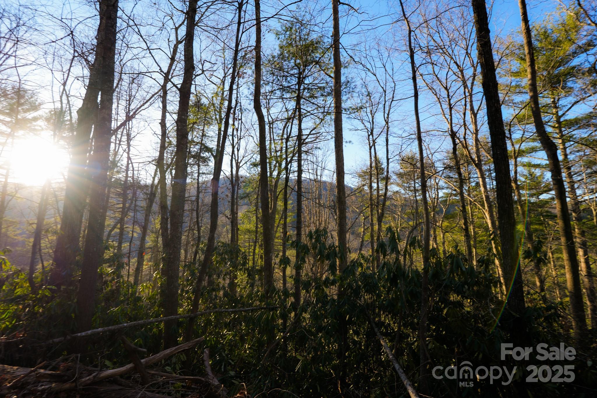 9999999 White Oak Road Property Photo 32