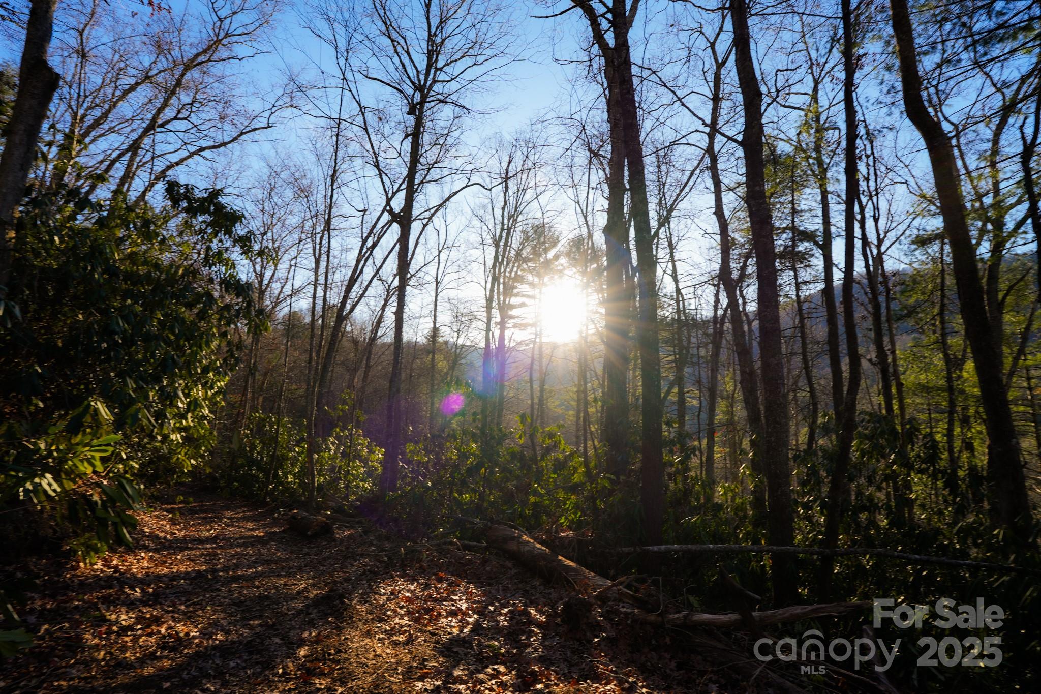 9999999 White Oak Road Property Photo 35