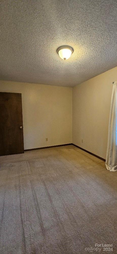3608 Cowboy Lane Property Photo 17