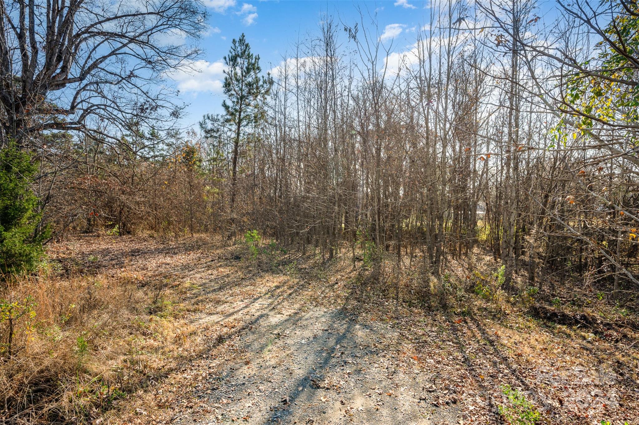 1527 Gold Hill Road Property Photo 16
