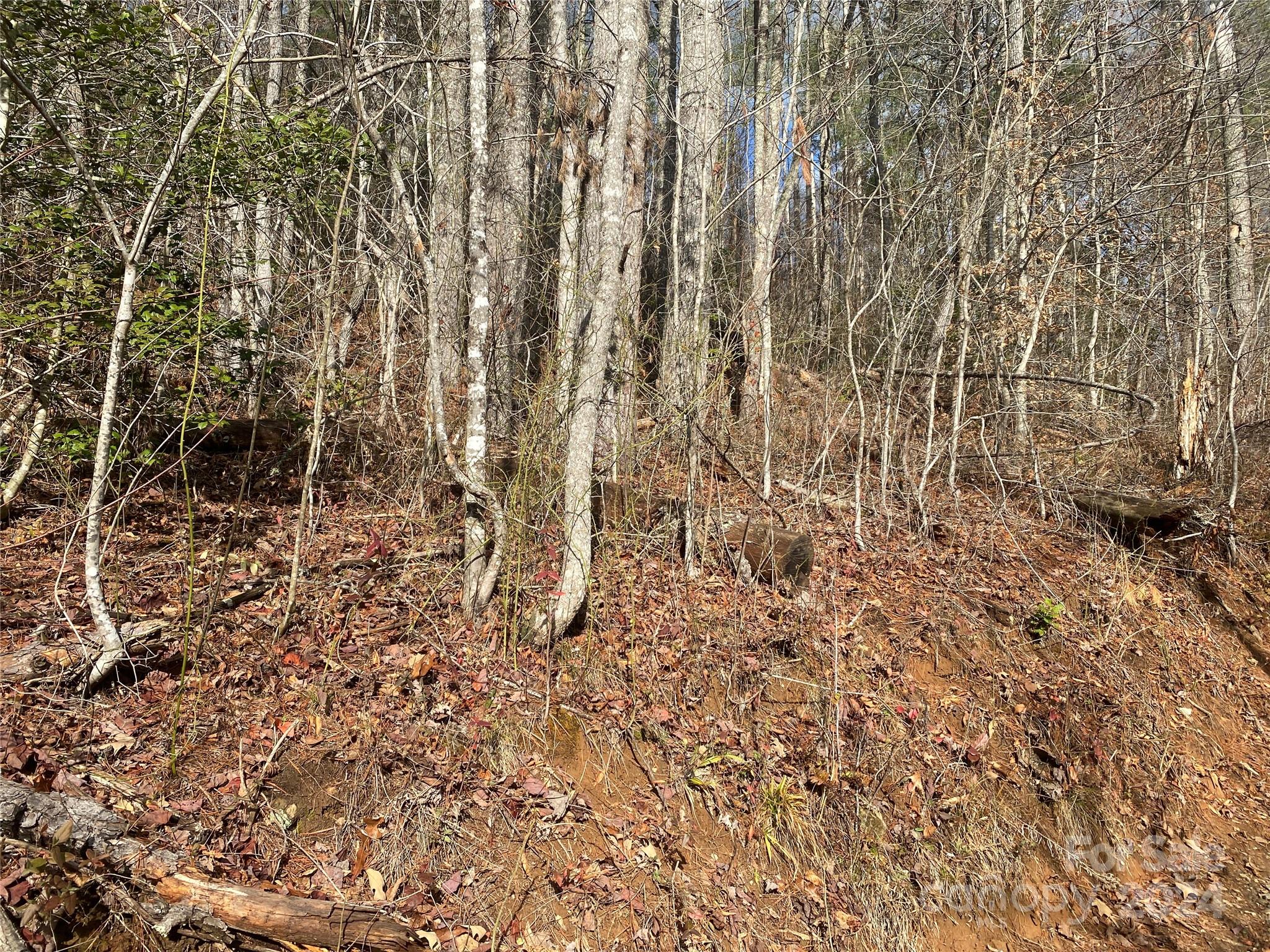 0 Gospel Drive Property Photo 7