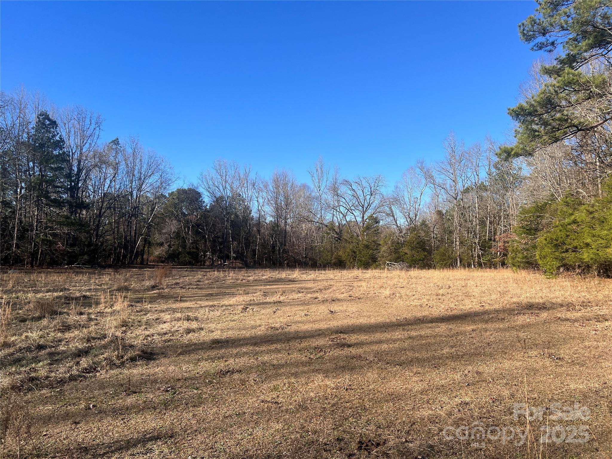 259 Sam Wilson Road Property Photo 4