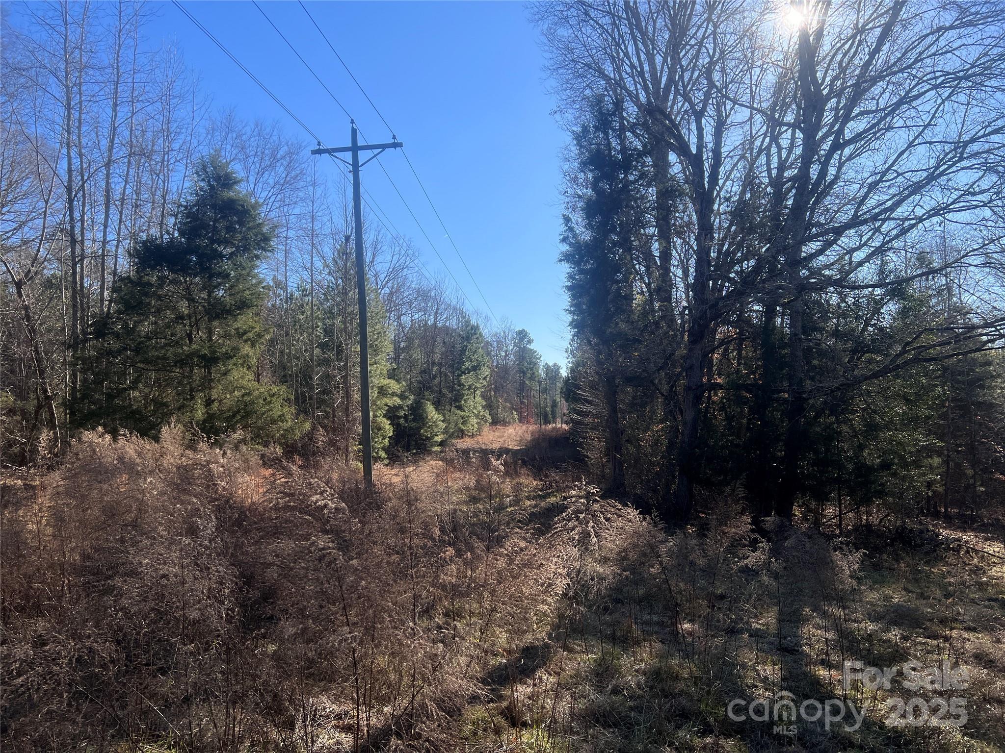 259 Sam Wilson Road Property Photo 14