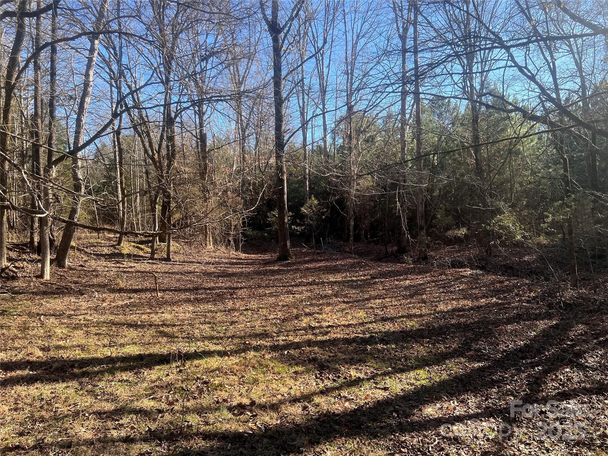 259 Sam Wilson Road Property Photo 16
