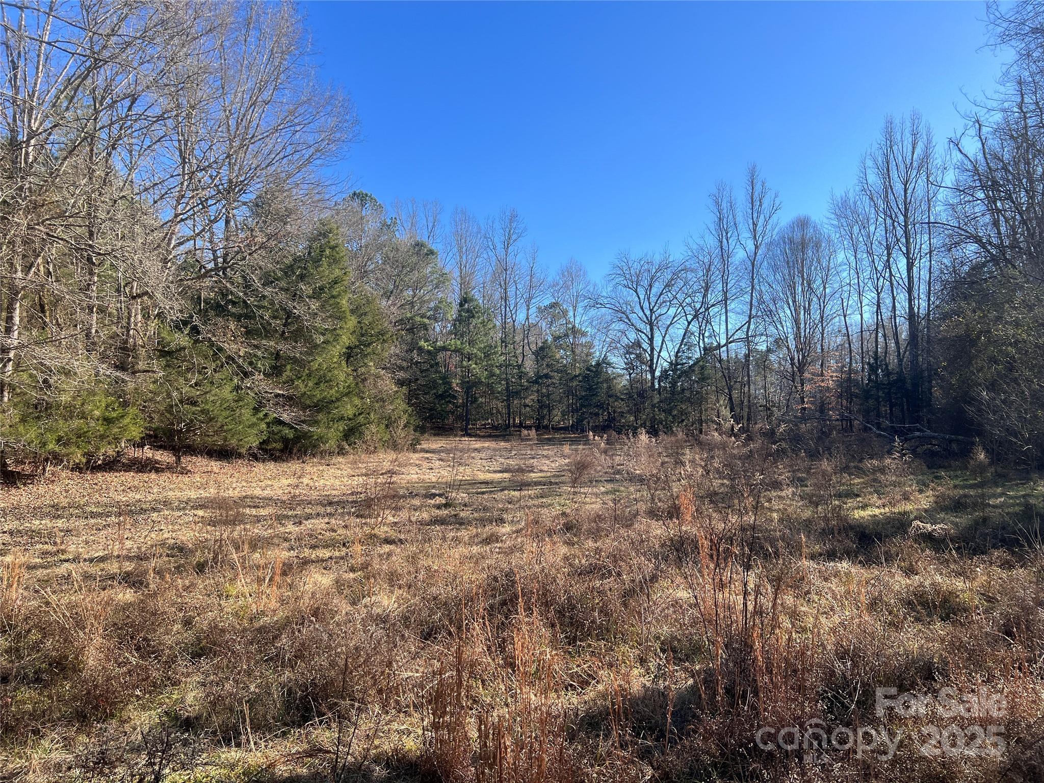 259 Sam Wilson Road Property Photo 19