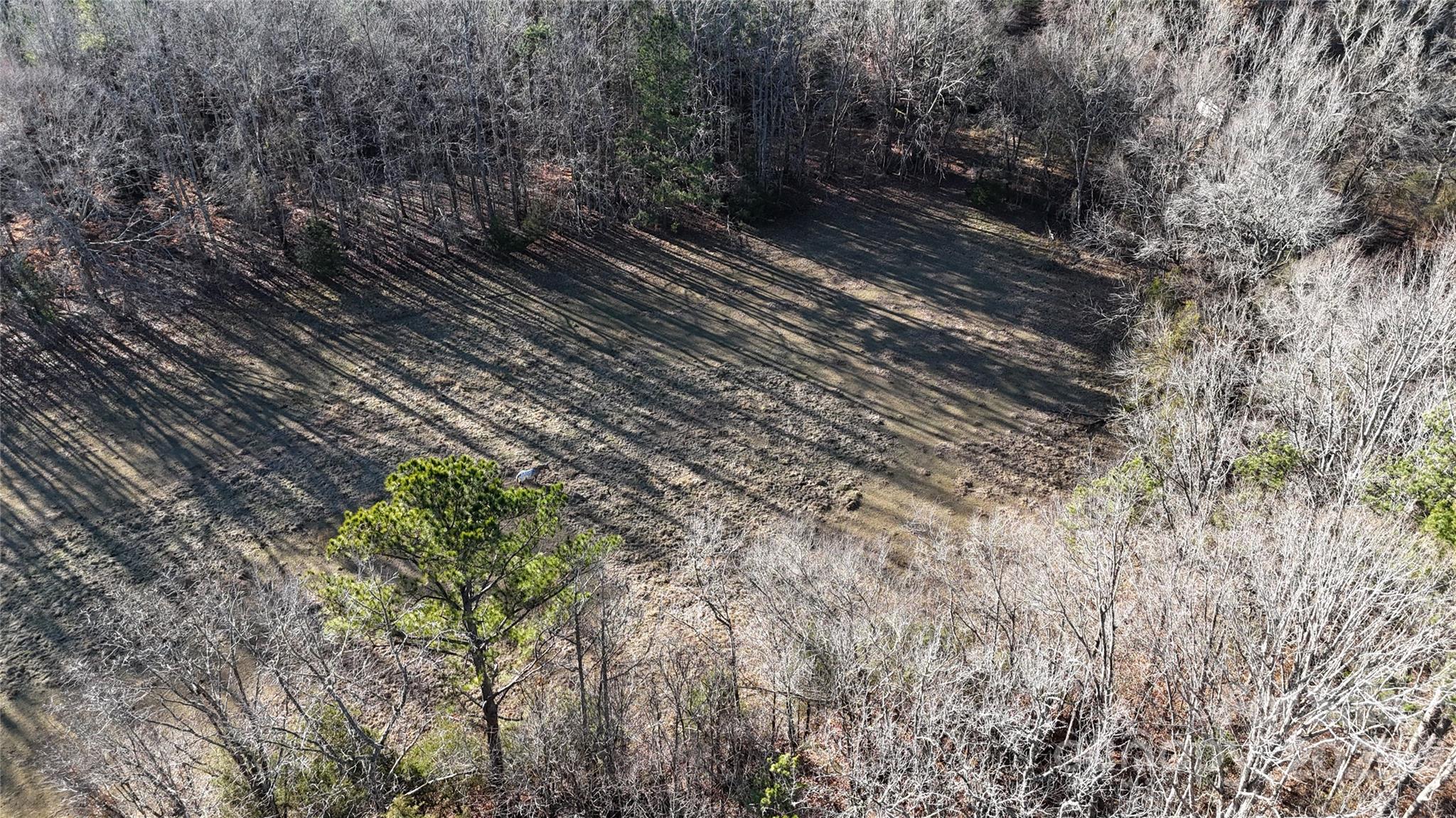 259 Sam Wilson Road Property Photo 25