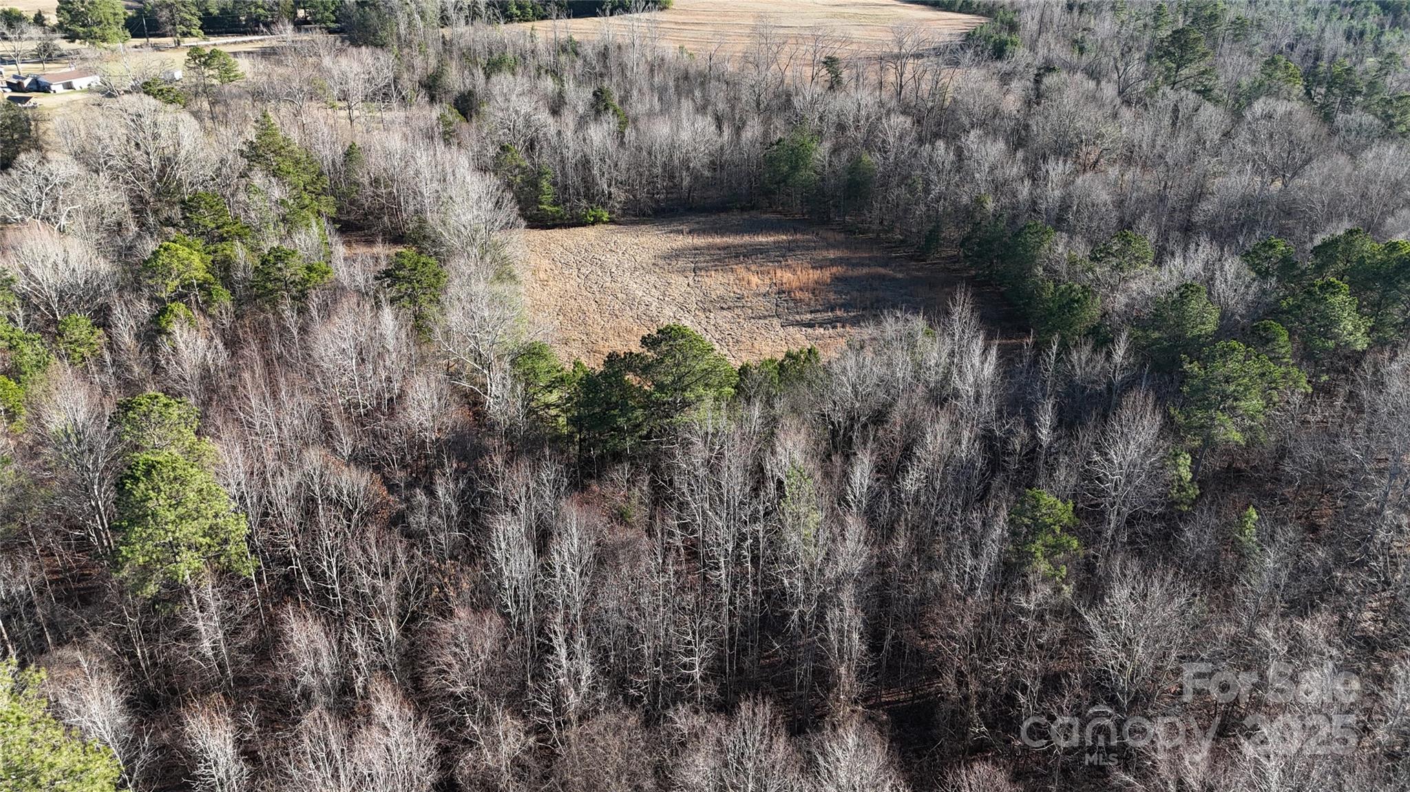 259 Sam Wilson Road Property Photo 29