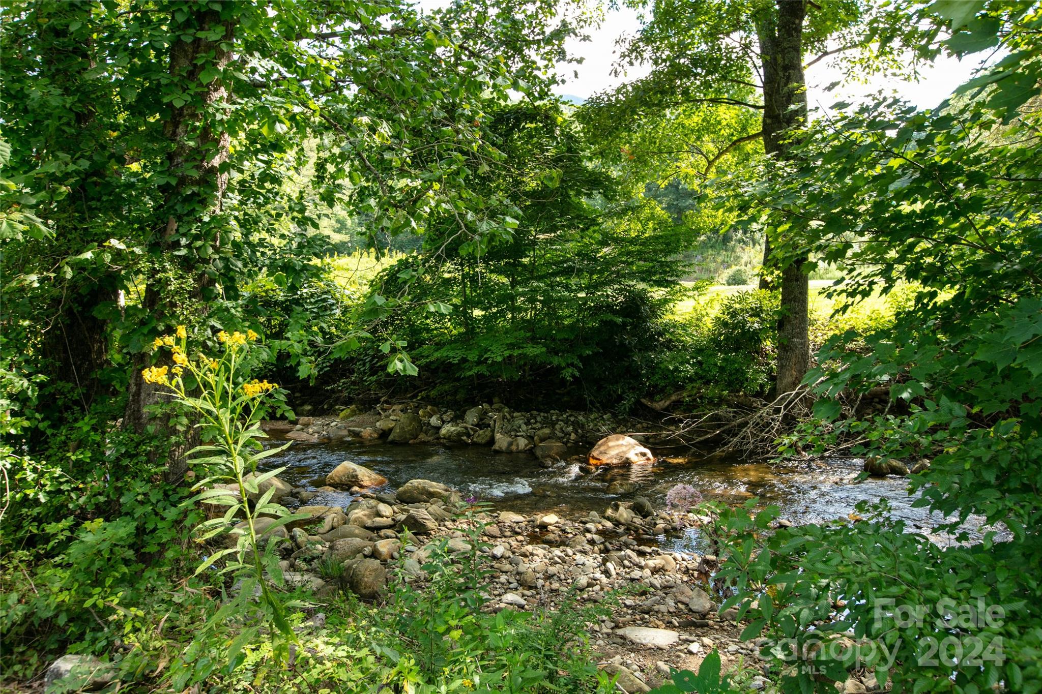 00000 Scout Trail 15 Property Photo 1