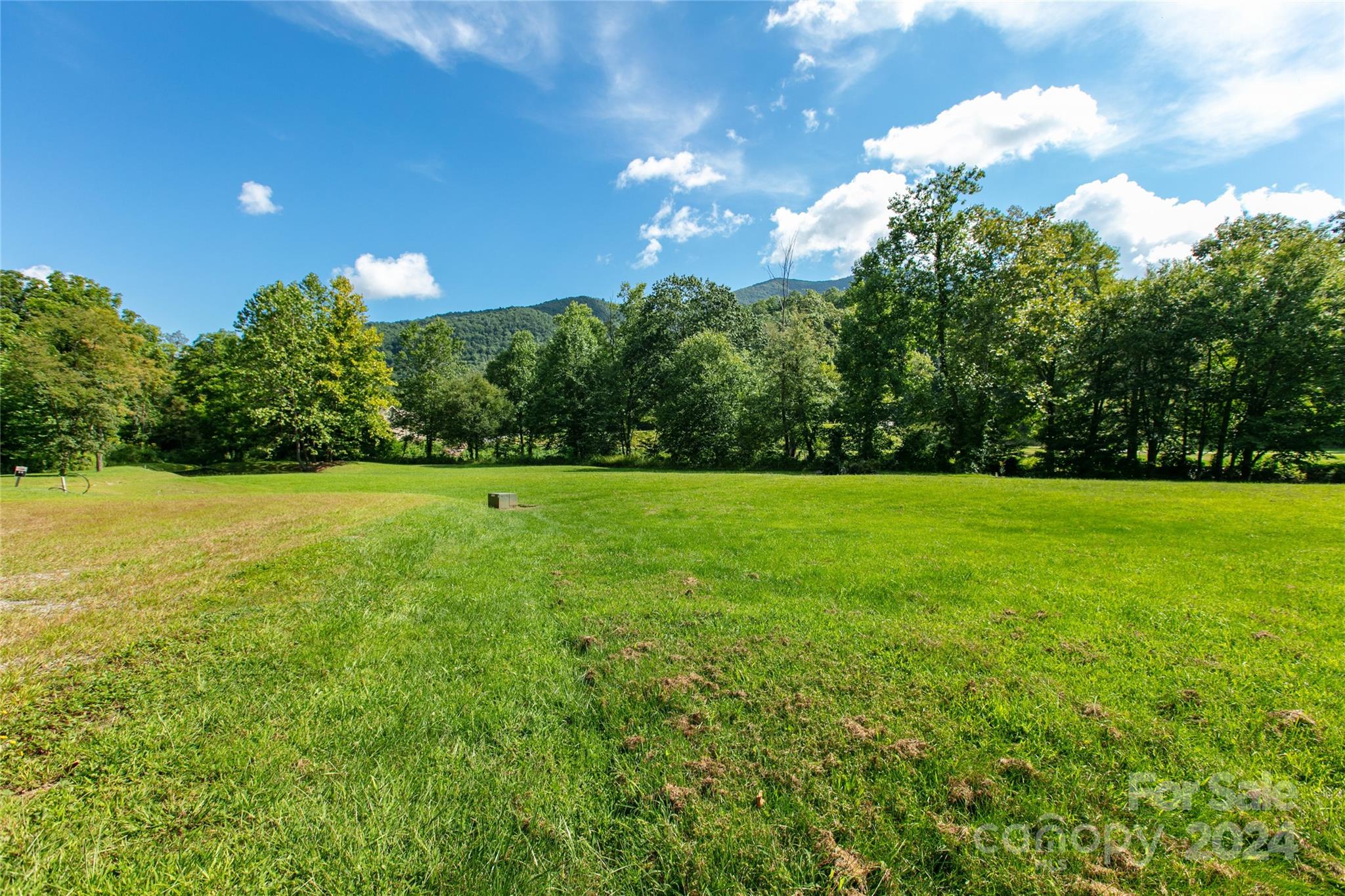 00000 Scout Trail 15 Property Photo 3
