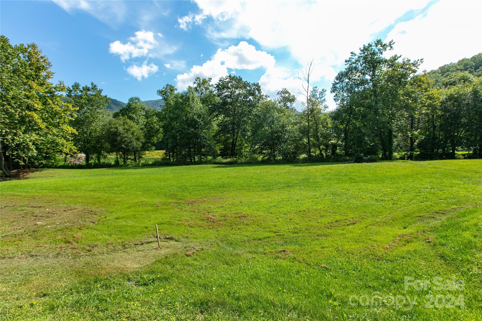 00000 Scout Trail 15 Property Photo 4