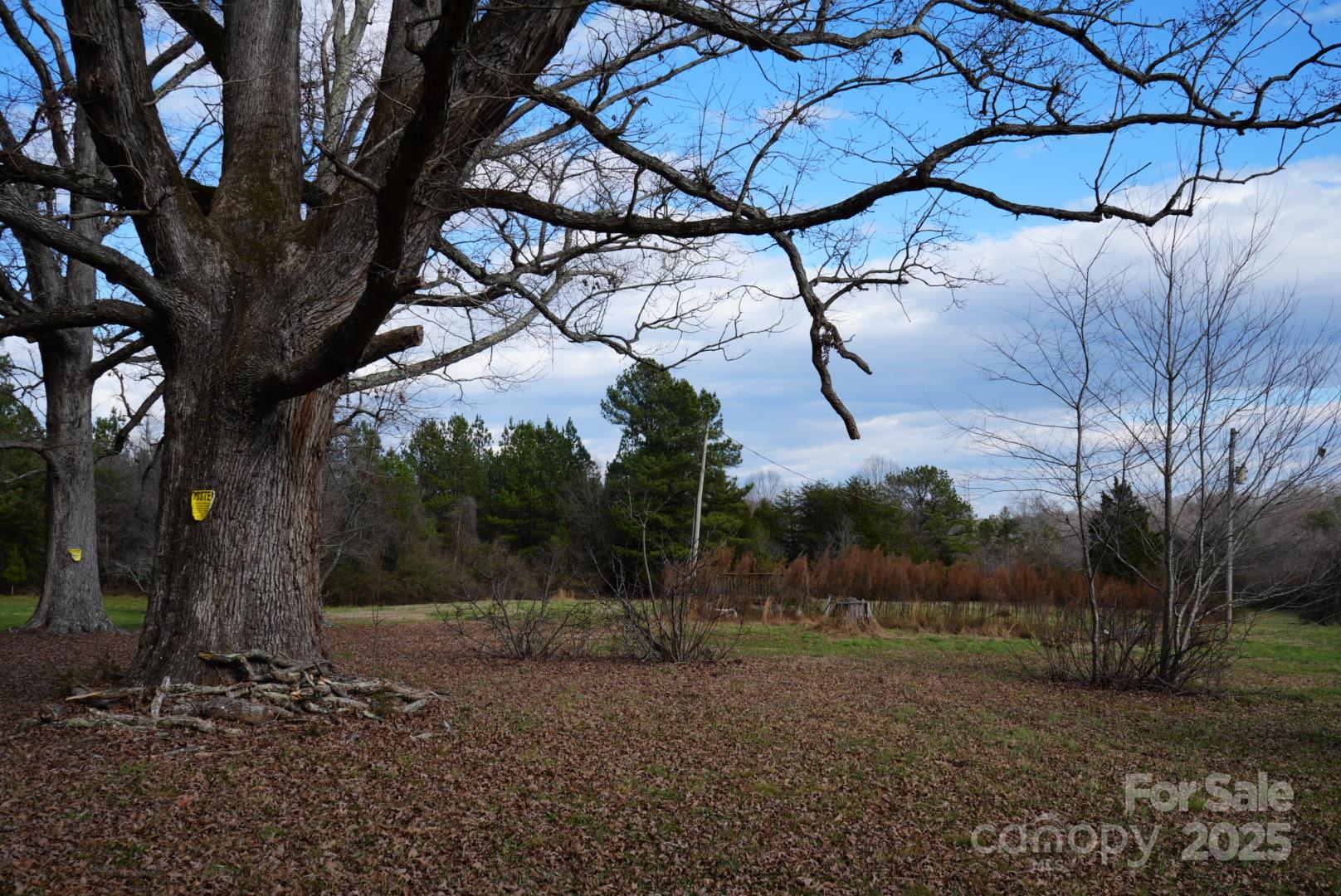 10.4ac Oswalt Amity Road 1 Property Photo 1