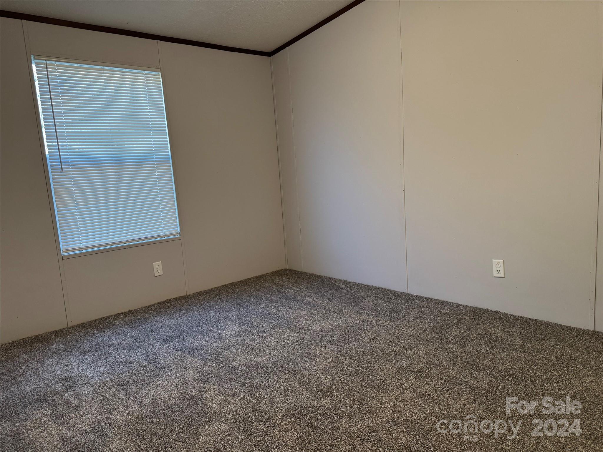 419 Davis Road Property Photo 19