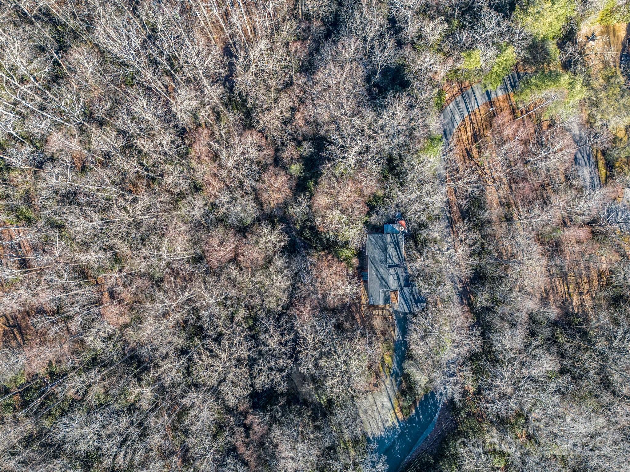 554 Pisgah Forest Drive Property Photo 42