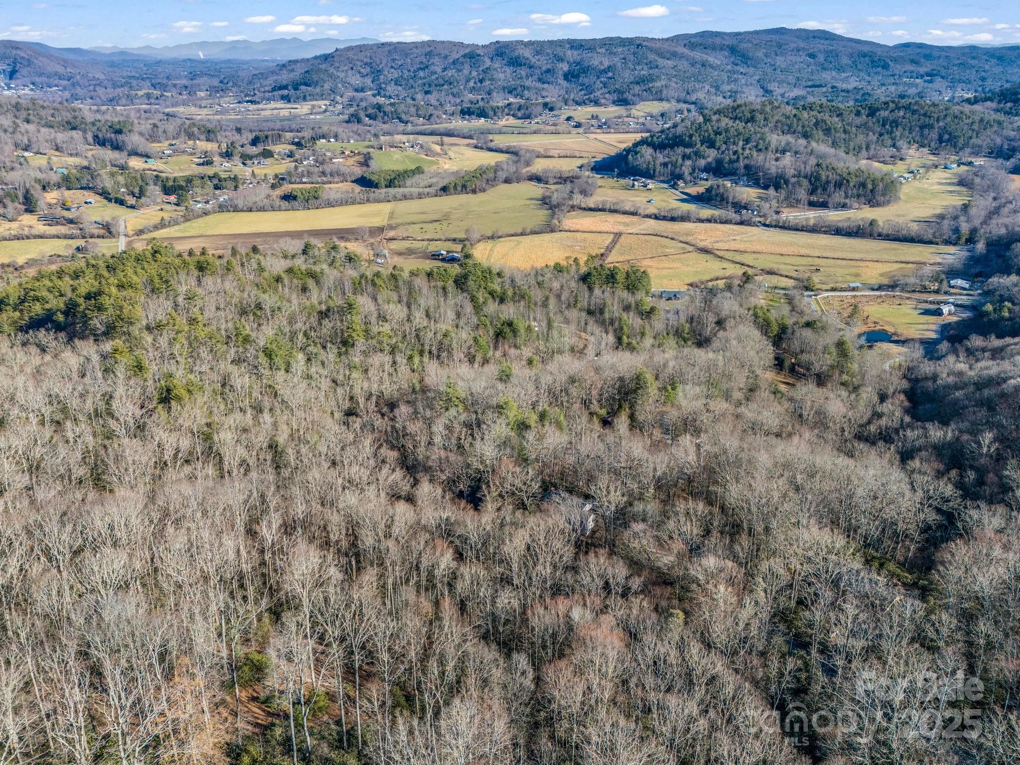 554 Pisgah Forest Drive Property Photo 43