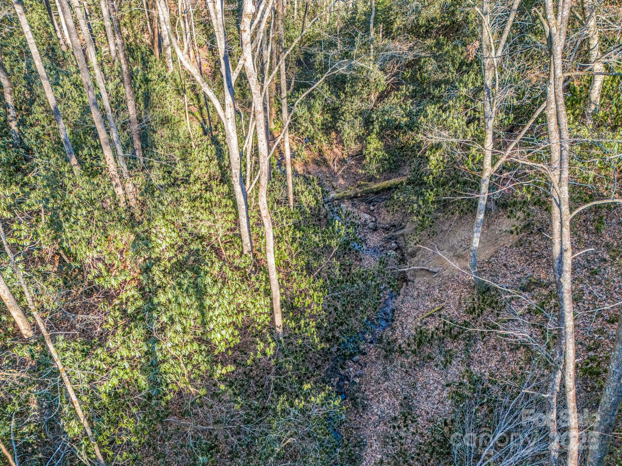 554 Pisgah Forest Drive Property Photo 45