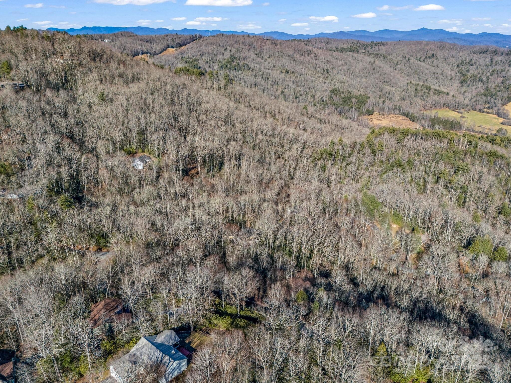 554 Pisgah Forest Drive Property Photo 47