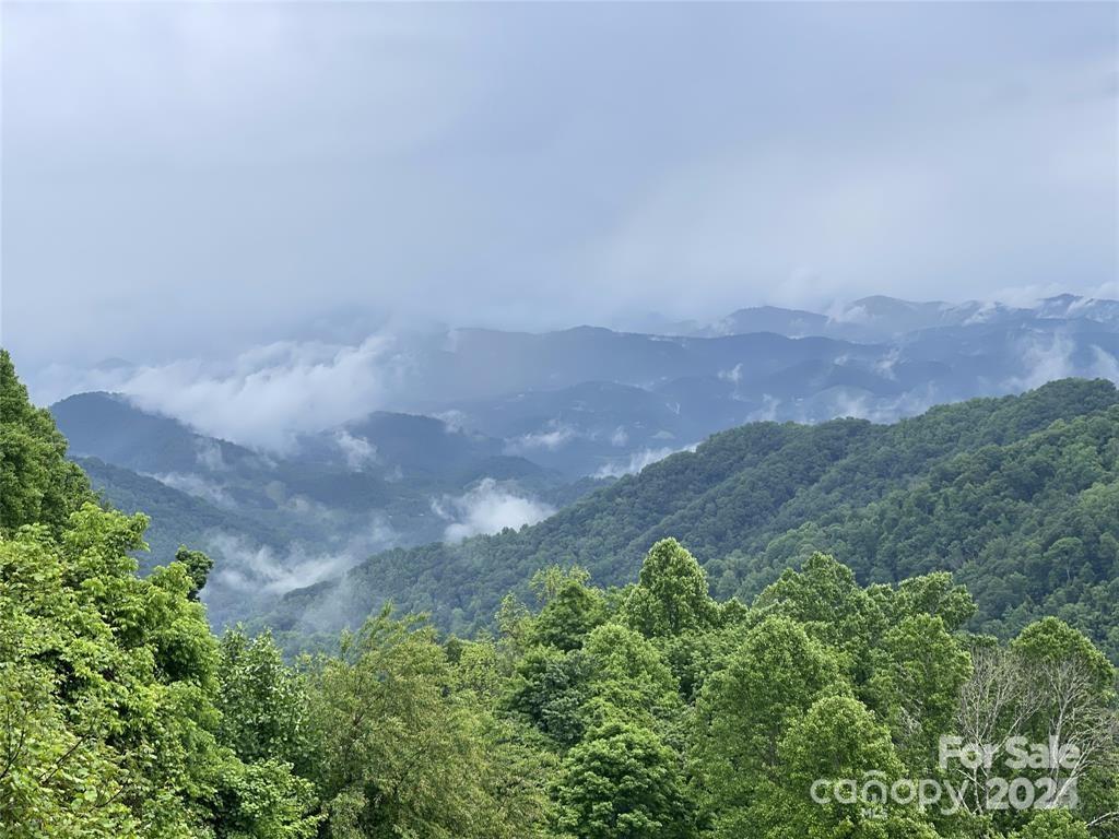 2530 Secluded Valley Road Property Photo 3