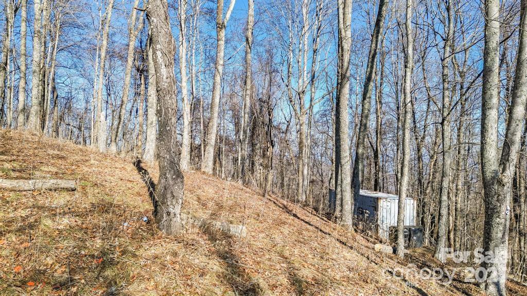 2530 Secluded Valley Road Property Photo 15