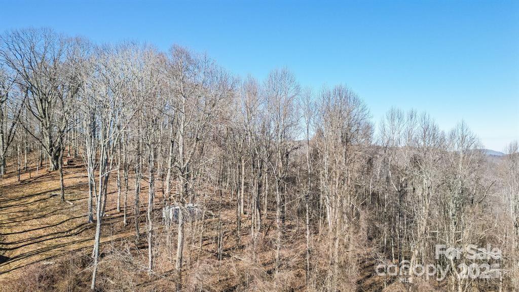 2530 Secluded Valley Road Property Photo 17