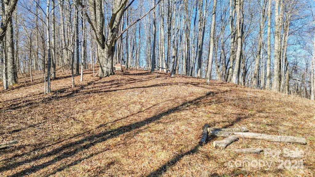 2530 Secluded Valley Road Property Photo 27