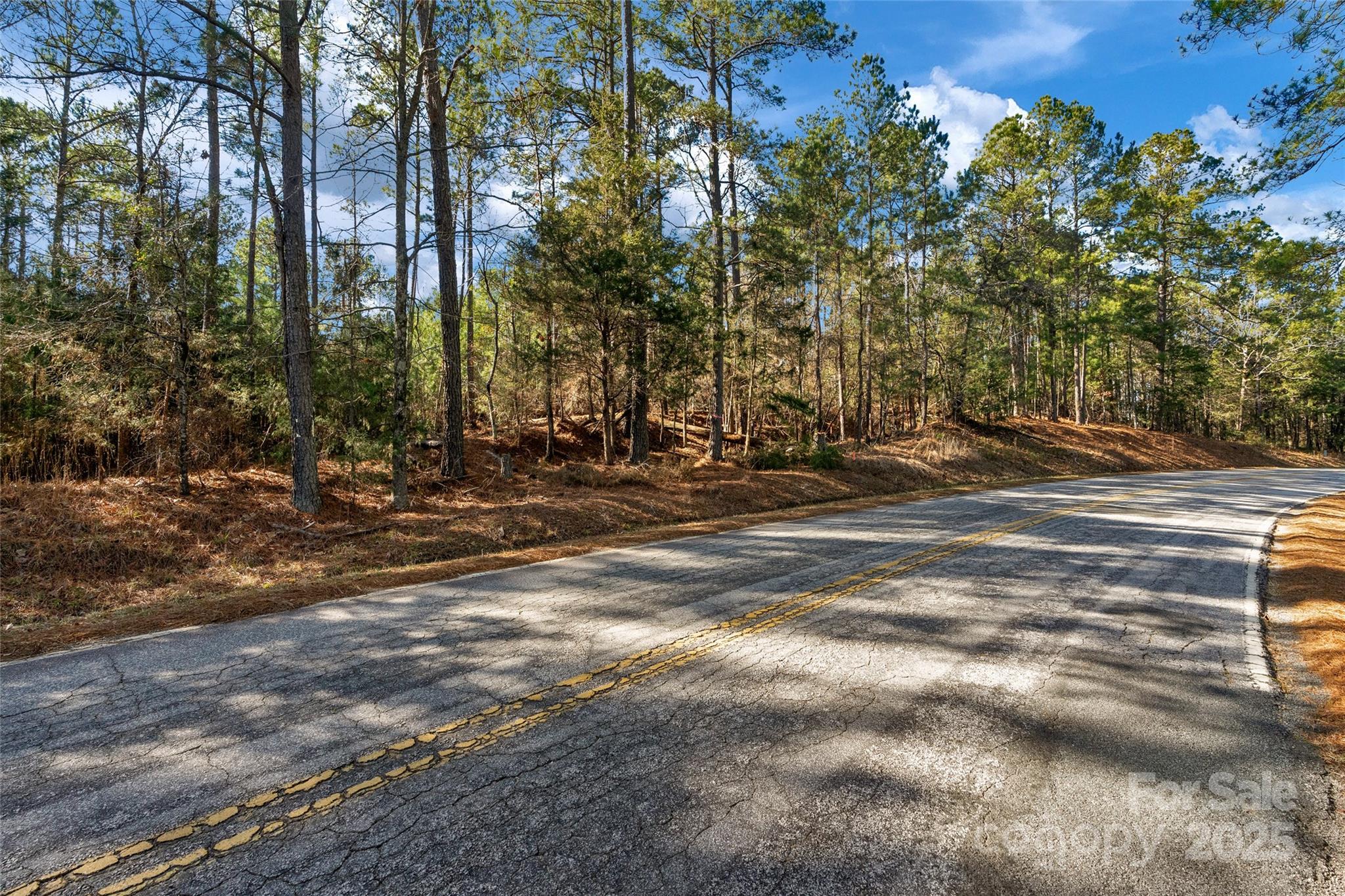 0000 Old Douglass Road 3 Property Photo 3
