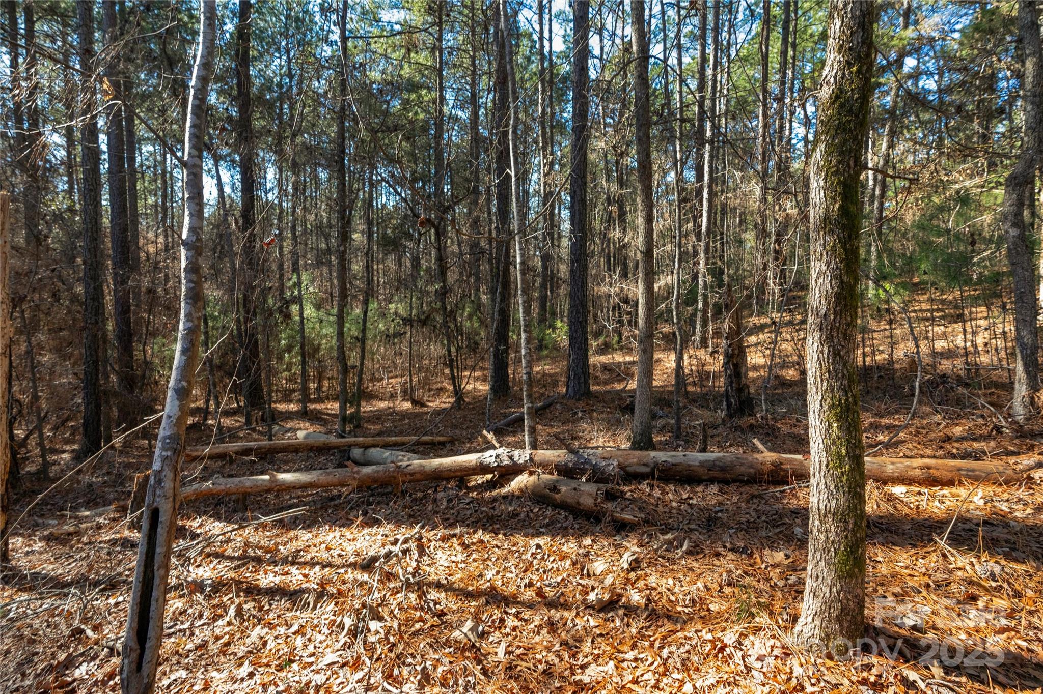 0000 Old Douglass Road 3 Property Photo 4
