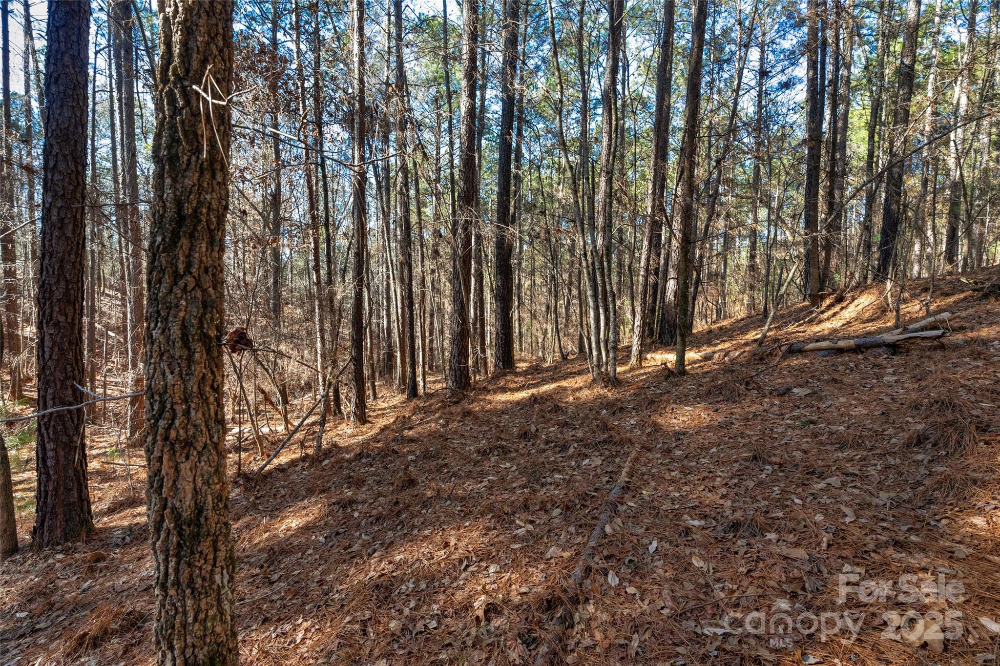 0000 Old Douglass Road 3 Property Photo 6