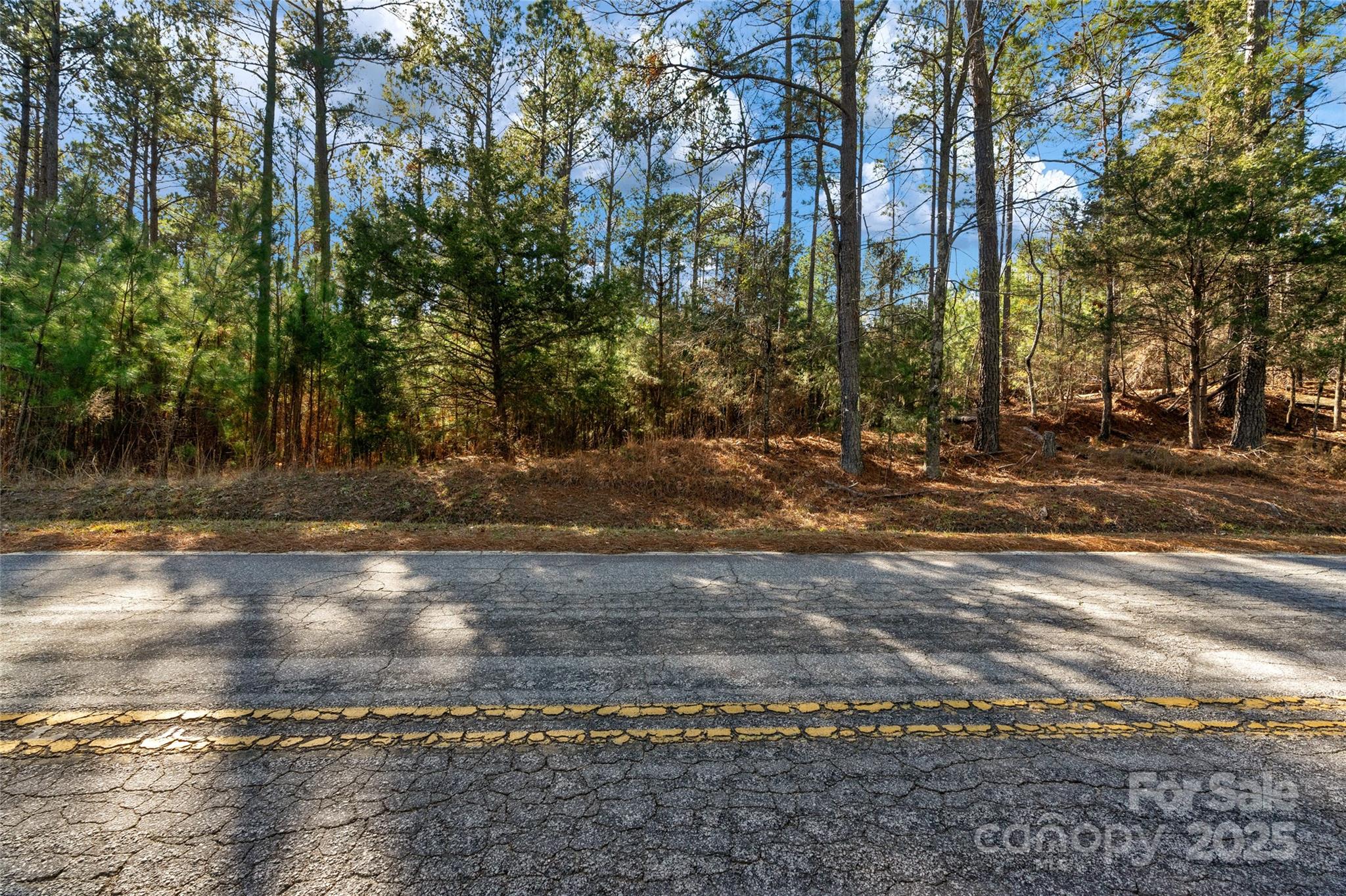 0000 Old Douglass Road 3 Property Photo 12