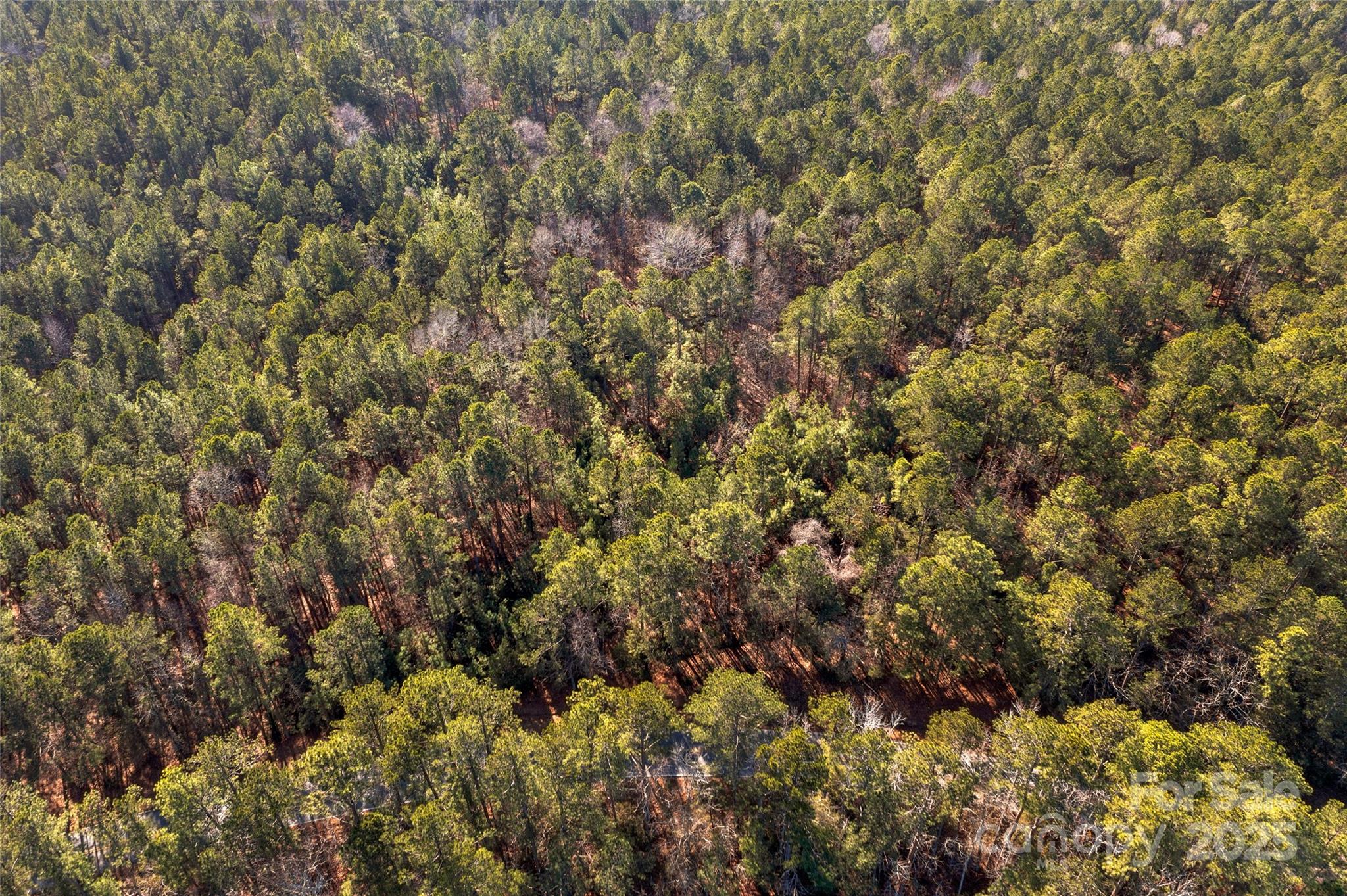 0000 Old Douglass Road 3 Property Photo 17