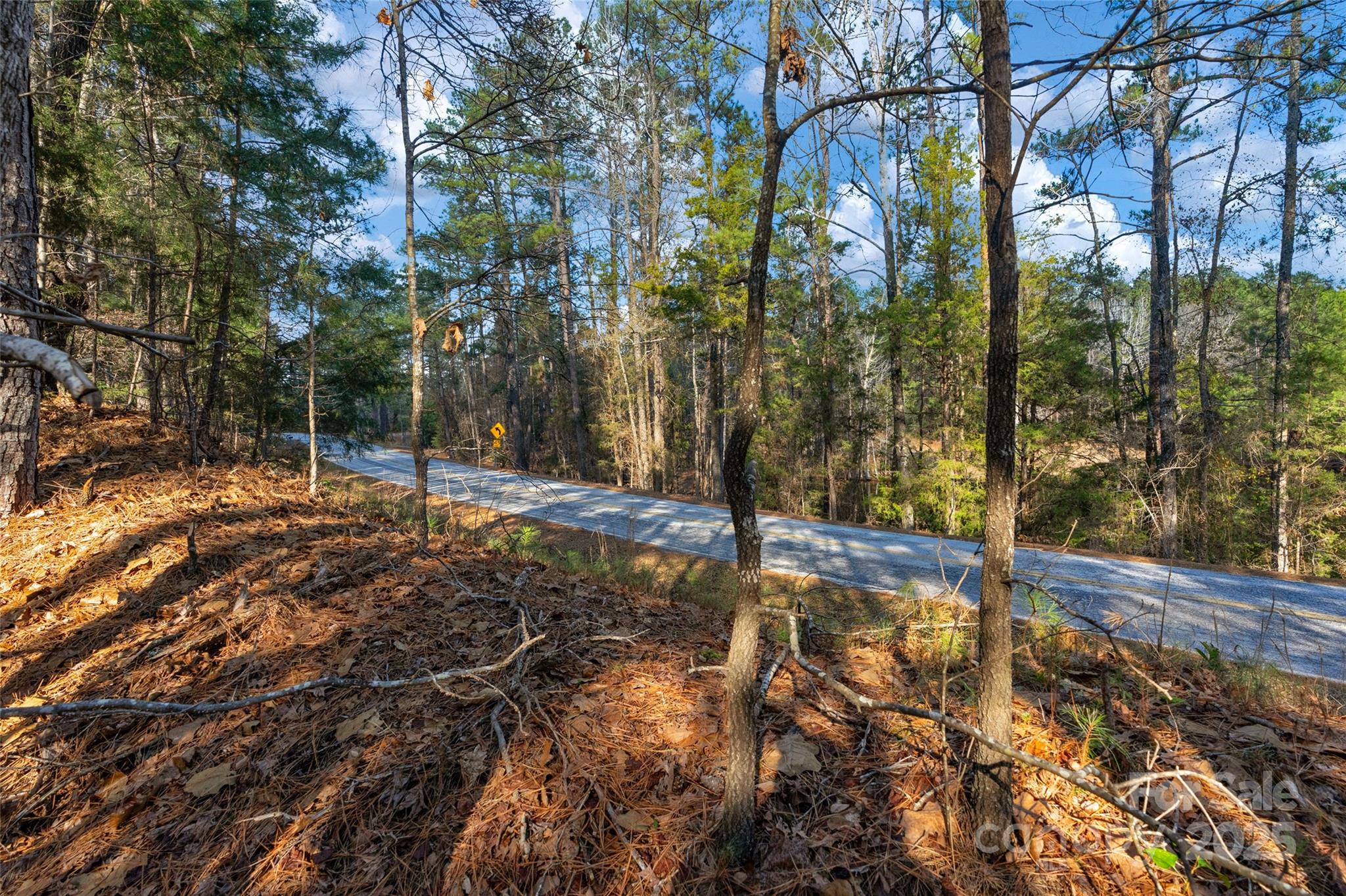 0000 Old Douglass Road 3 Property Photo 21