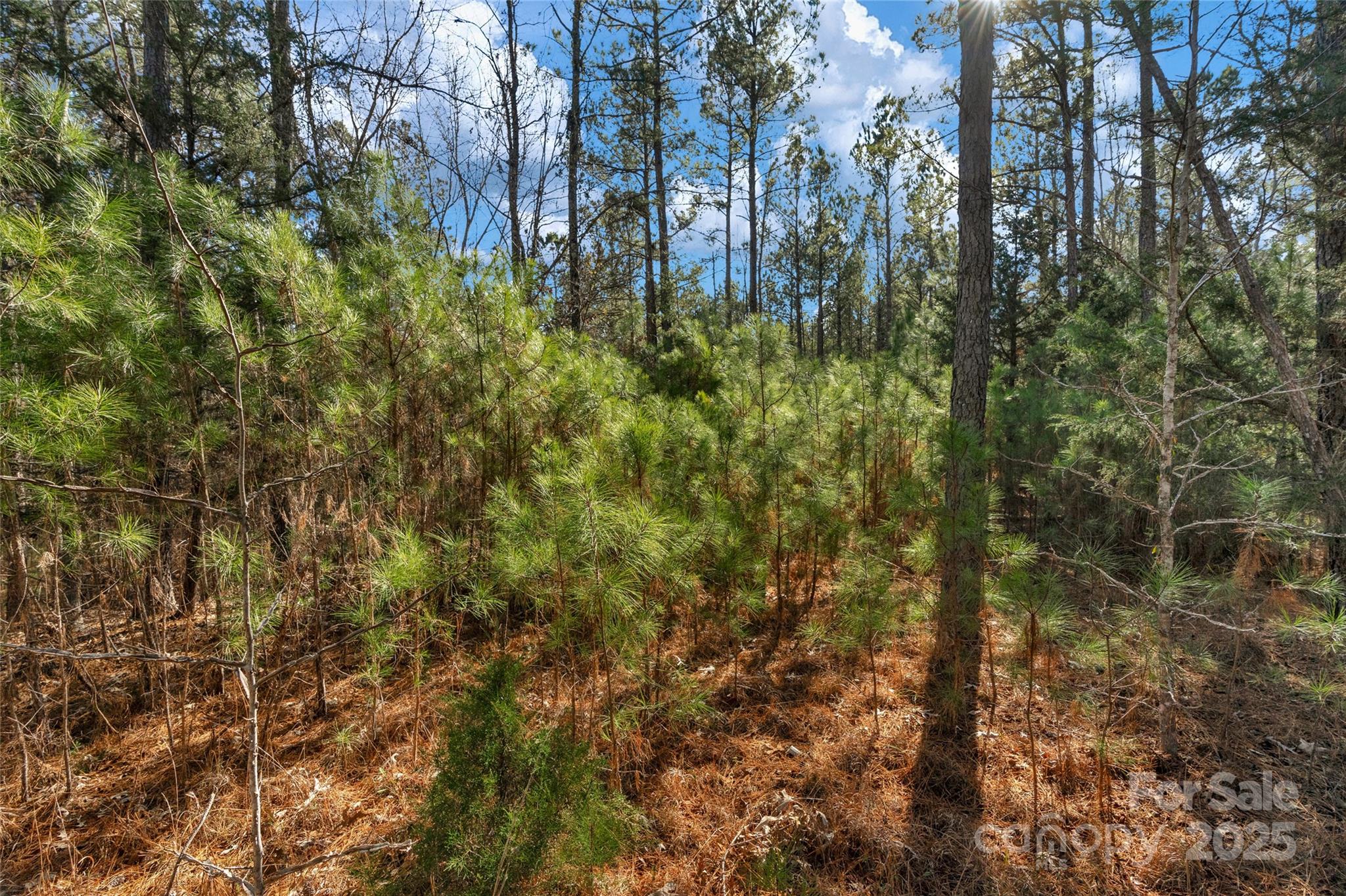 0000 Old Douglass Road 3 Property Photo 27