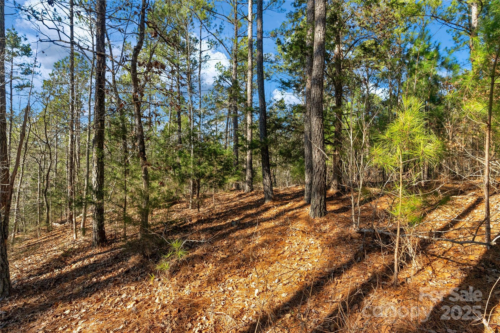 0000 Old Douglass Road 3 Property Photo 29