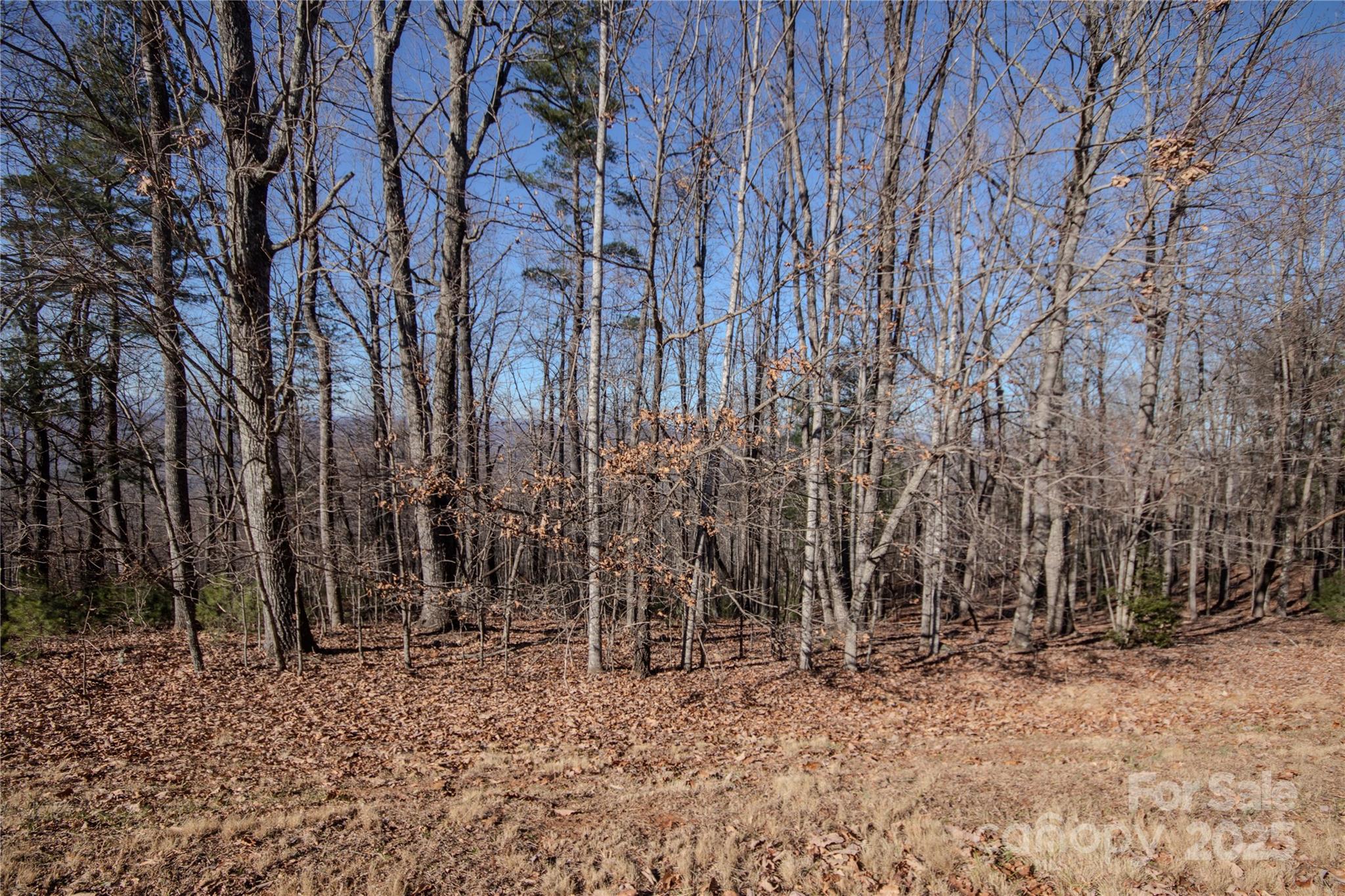2212 Nighthawk Ridge Court 29 Property Photo 10