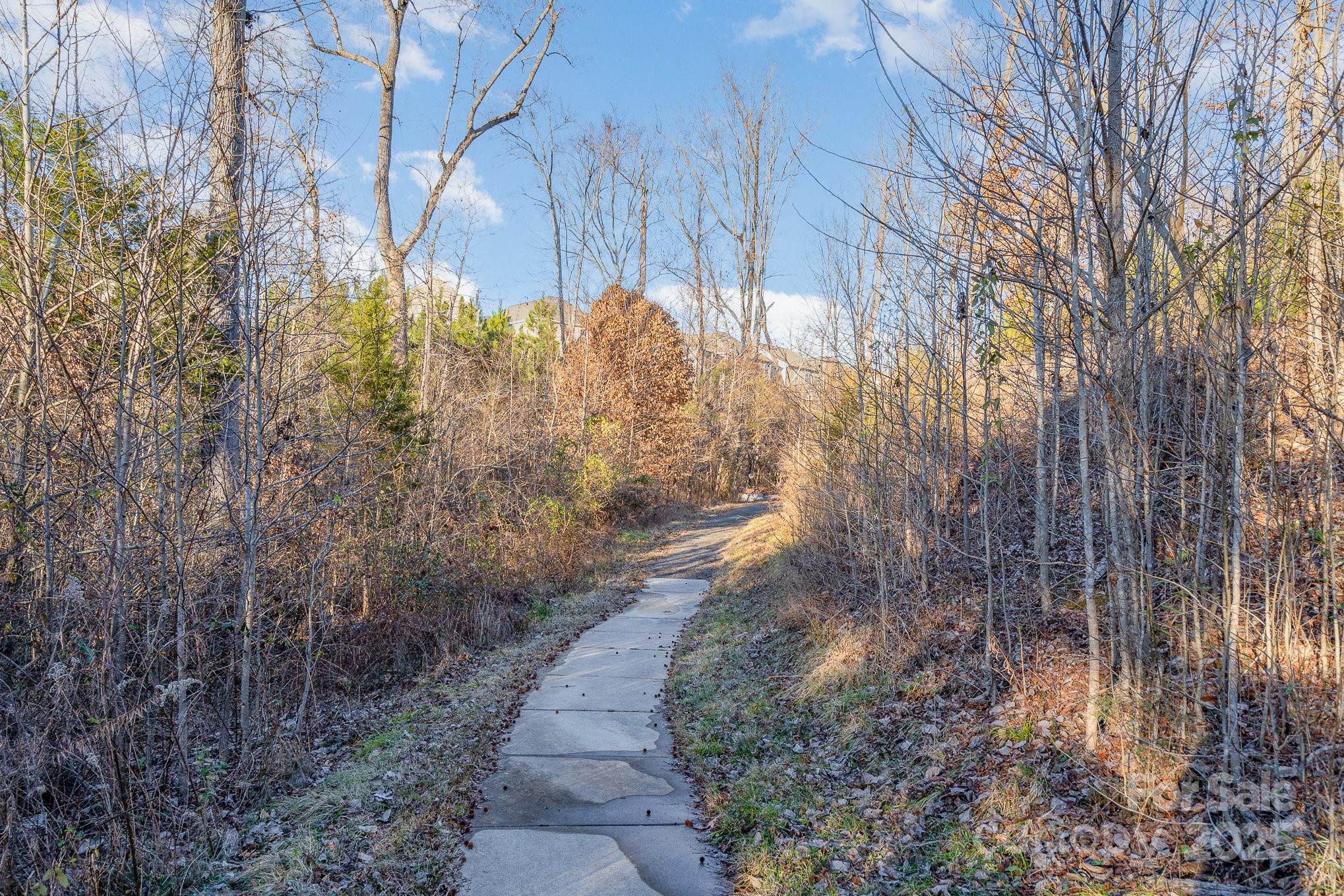 1878 Sapphire Meadow Drive Property Photo 37