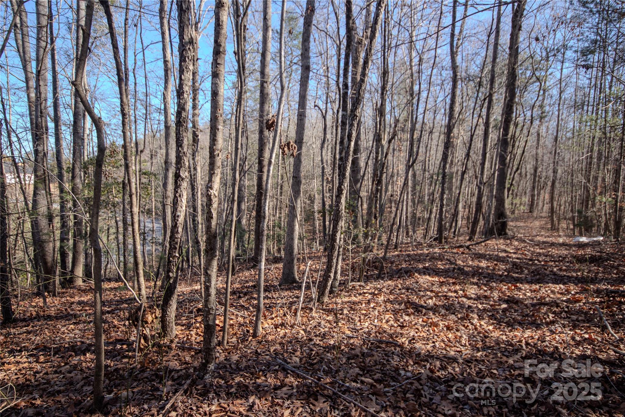 Lot# 81 Huntington Woods Street 81 Property Photo 4