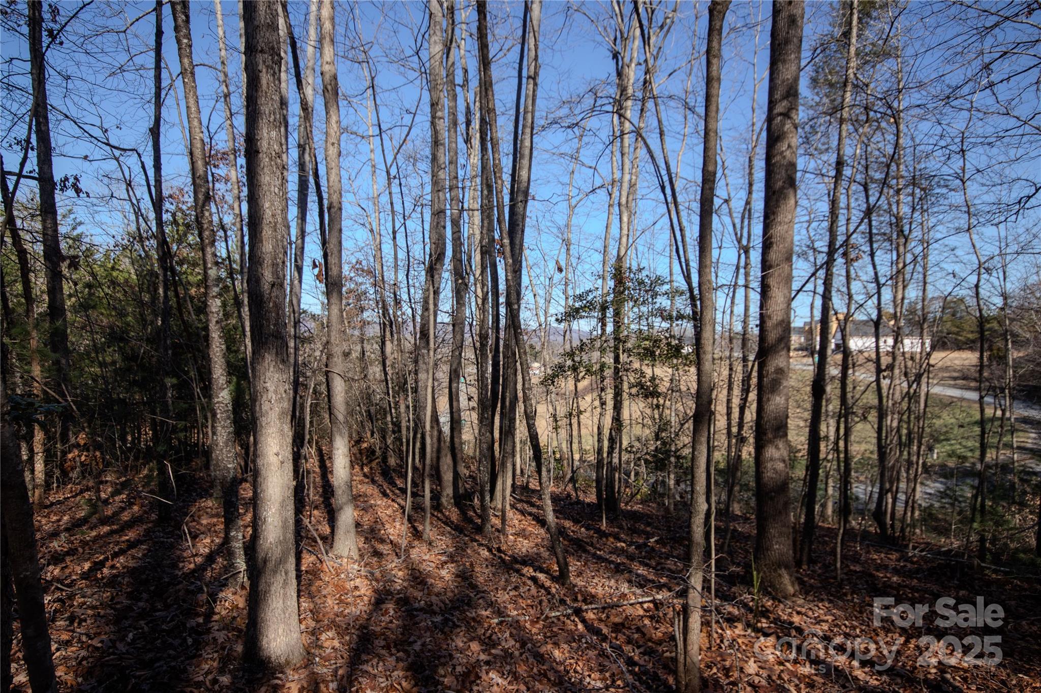 Lot# 81 Huntington Woods Street 81 Property Photo 5
