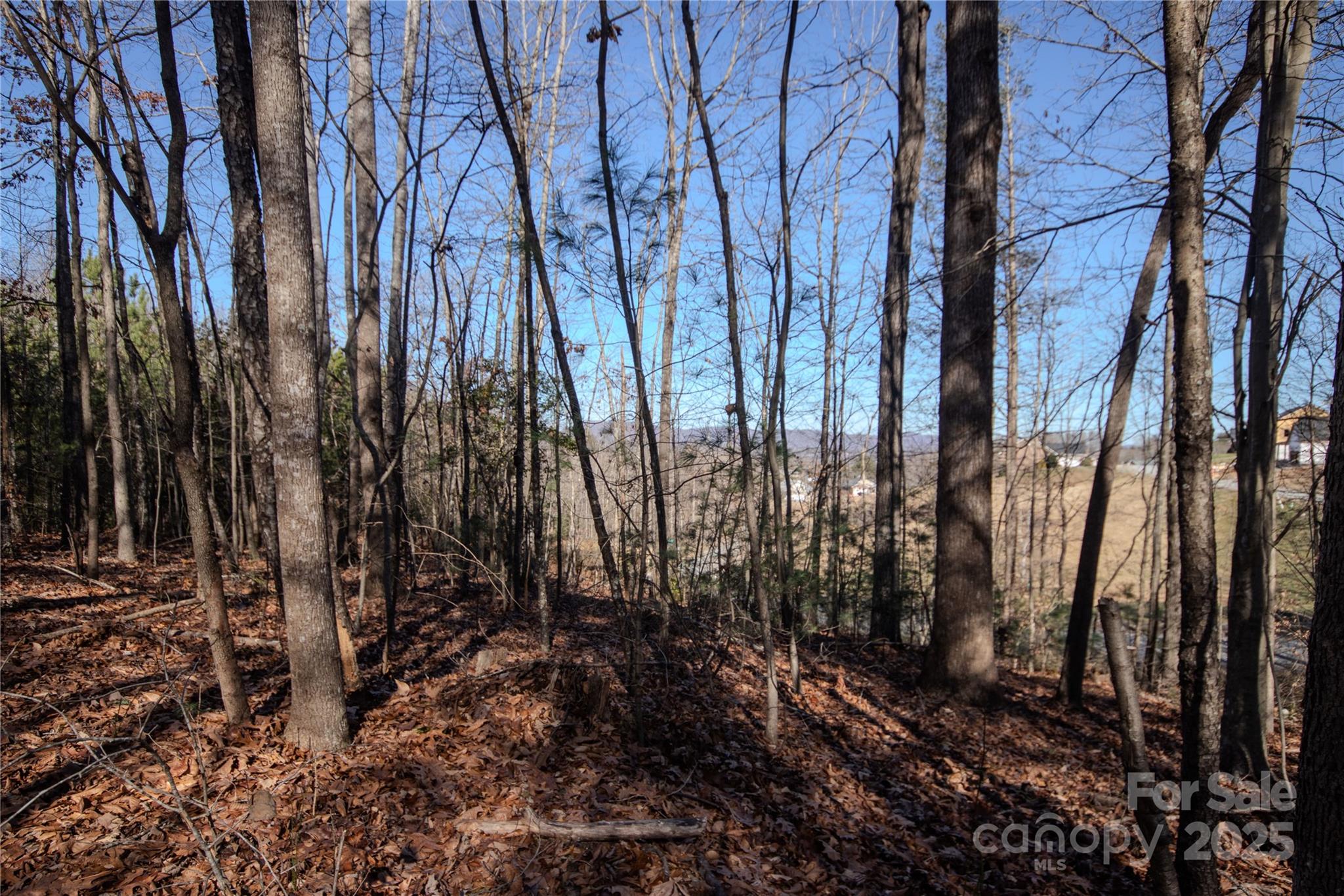 Lot# 81 Huntington Woods Street 81 Property Photo 6