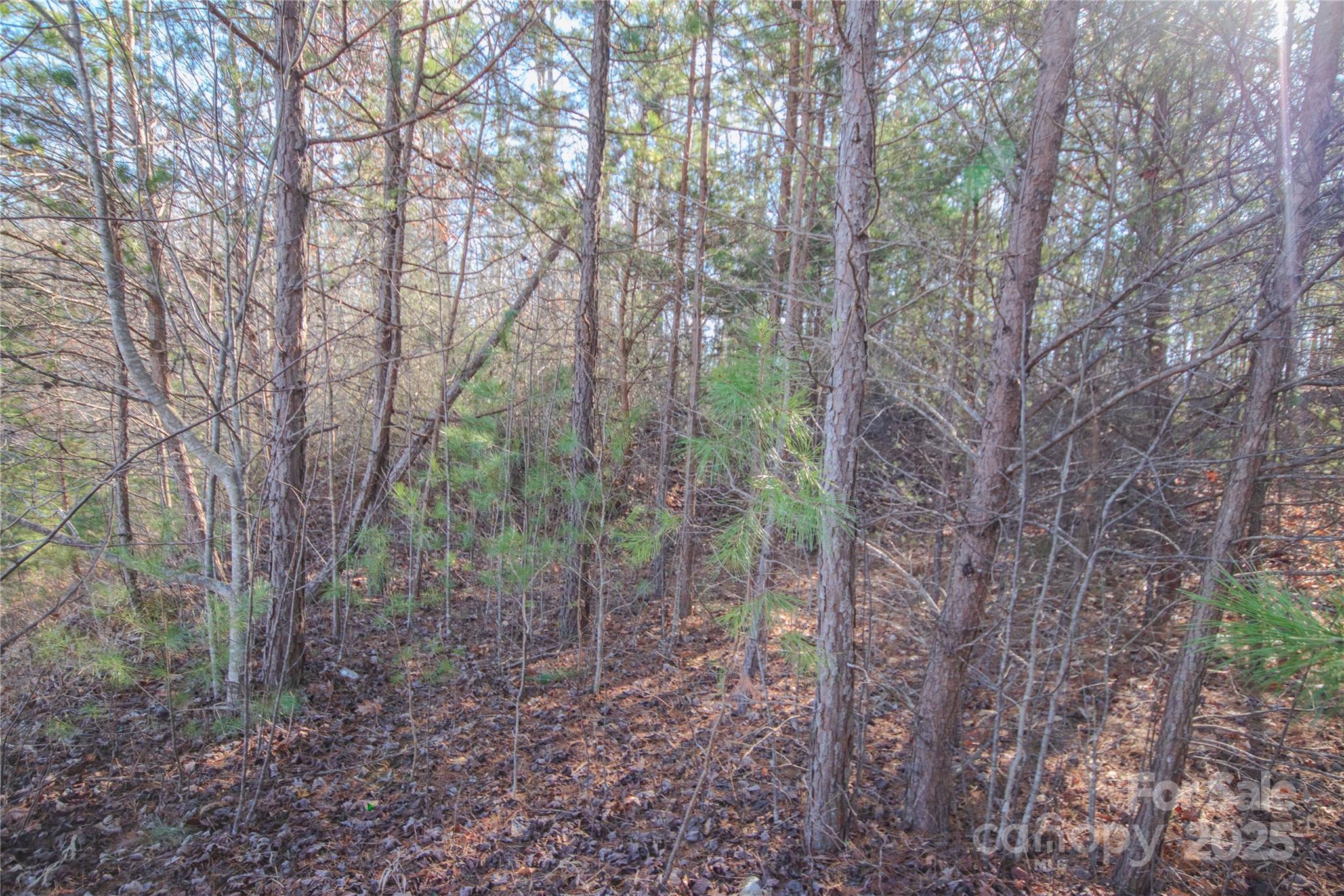 Lot# 82 Huntington Woods Street 82 Property Photo 4
