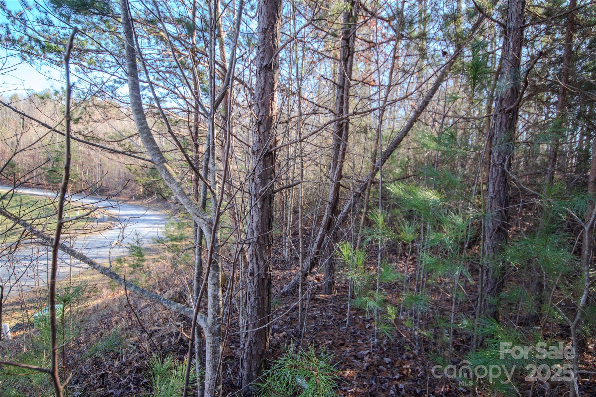 Lot# 82 Huntington Woods Street 82 Property Photo 5