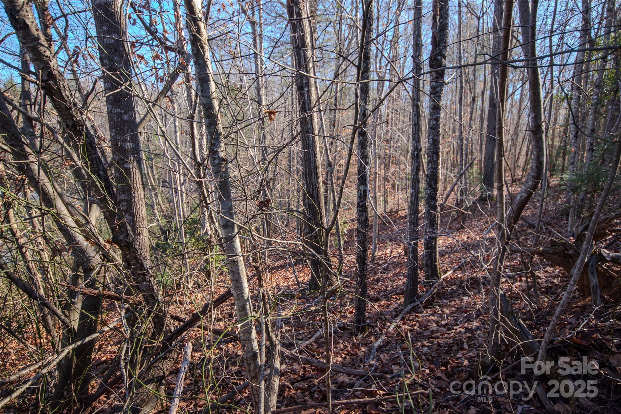 Lot# 82 Huntington Woods Street 82 Property Photo 6