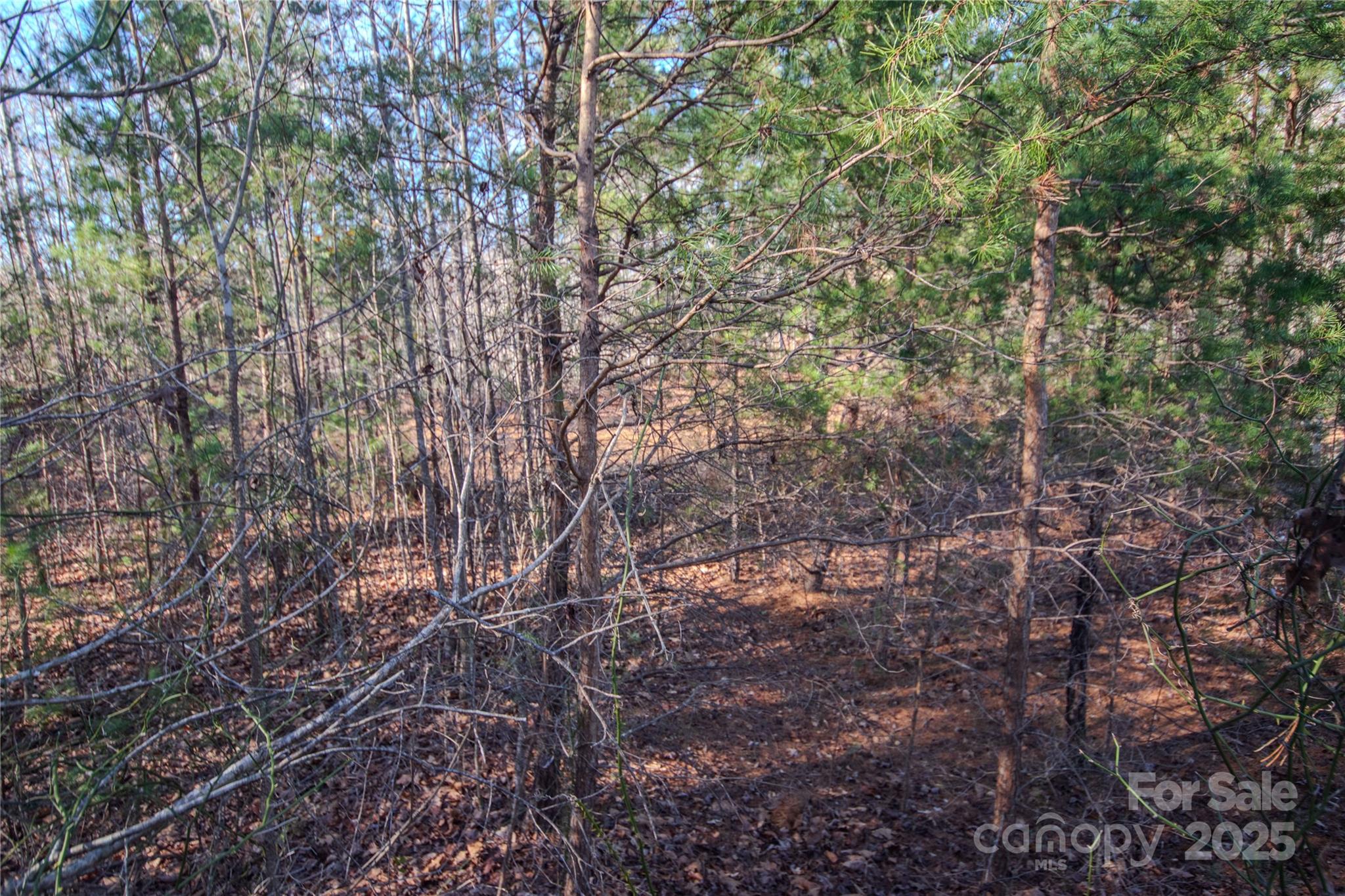 Lot# 82 Huntington Woods Street 82 Property Photo 7