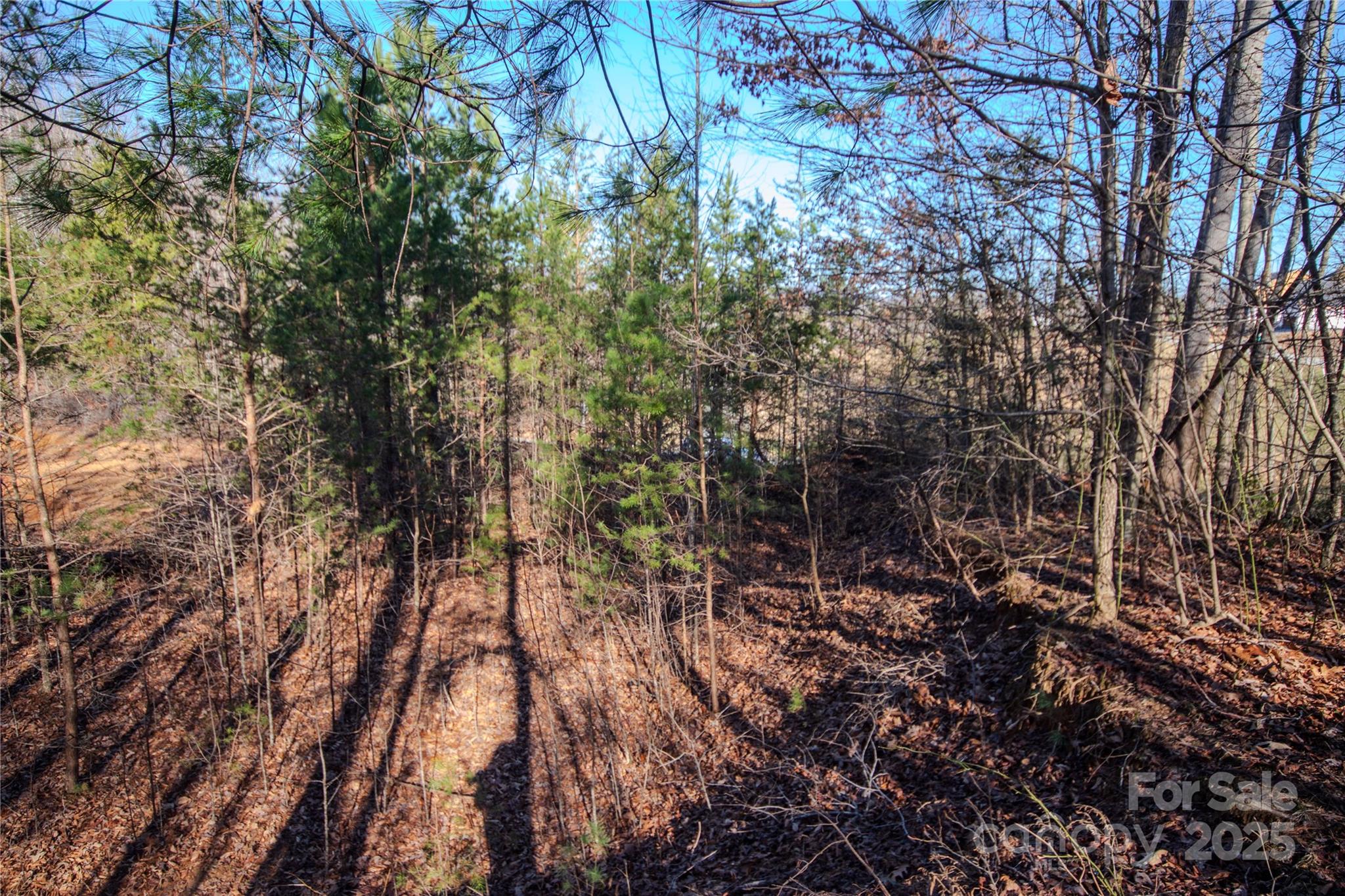 Lot# 82 Huntington Woods Street 82 Property Photo 8