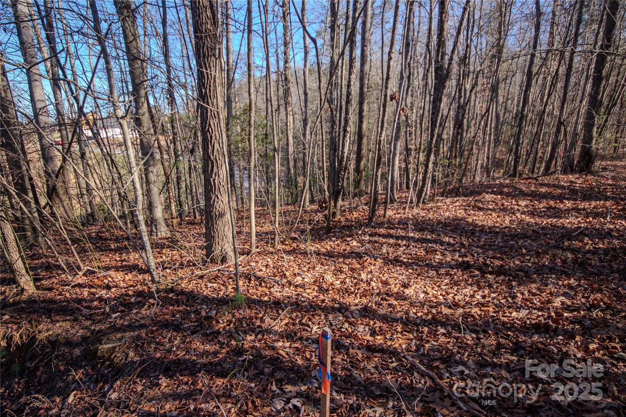Lot# 82 Huntington Woods Street 82 Property Photo 9