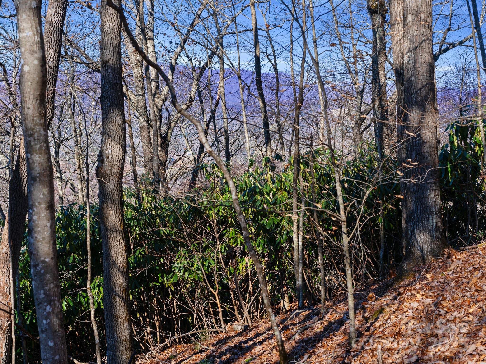 Lot #7 Queens Way Property Photo 5