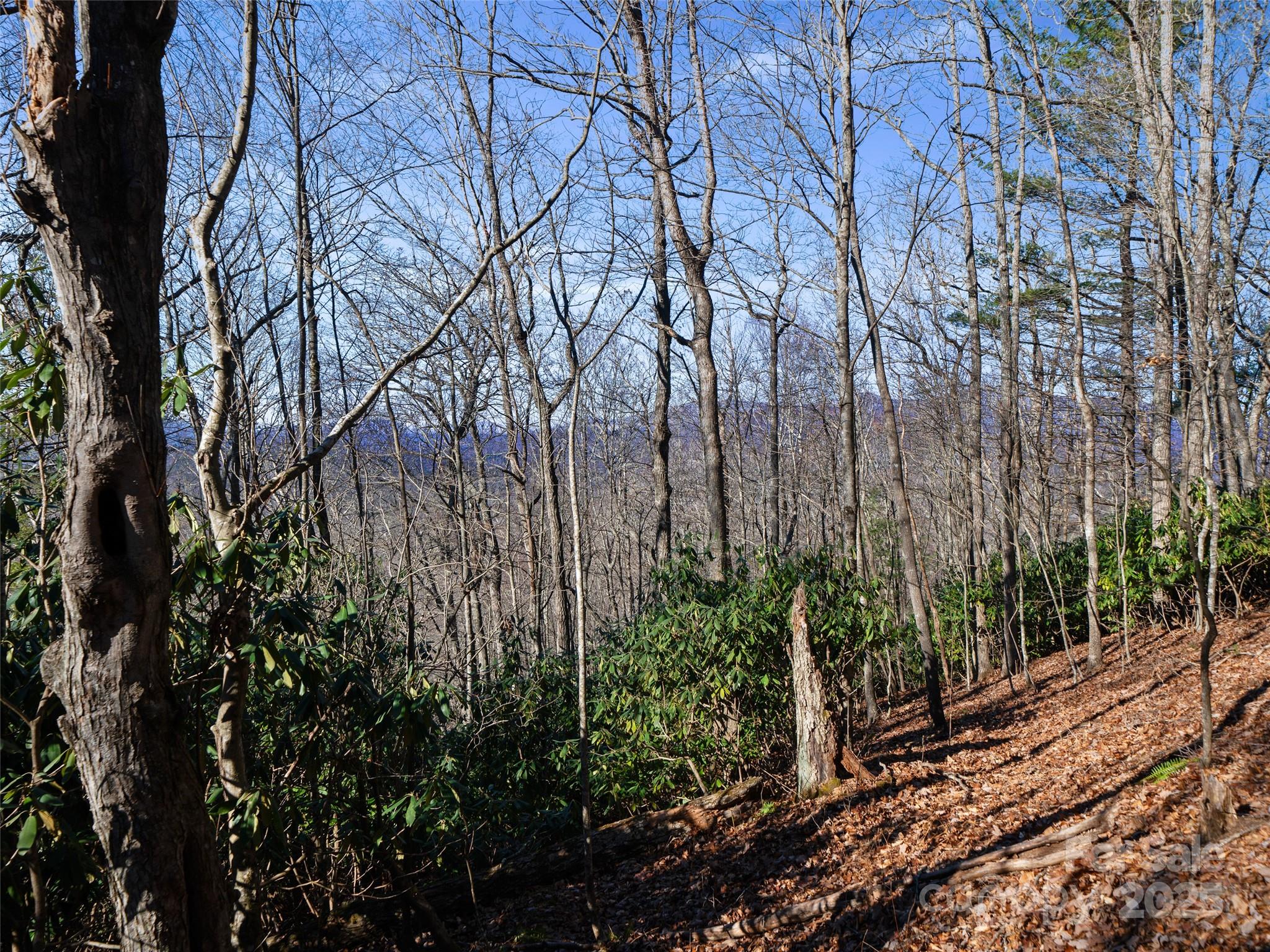 Lot #7 Queens Way Property Photo 6